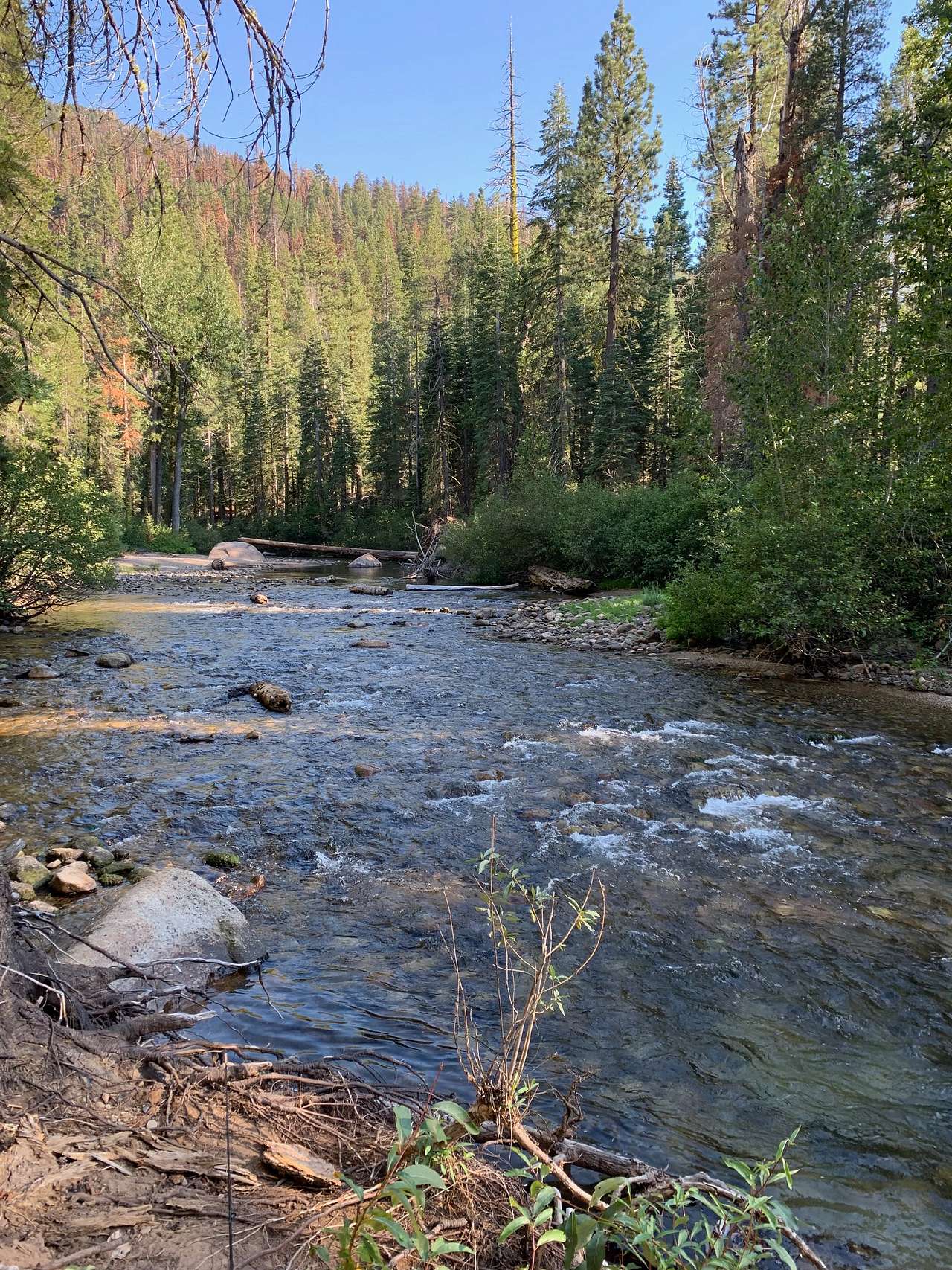 Sand Flat Campground
