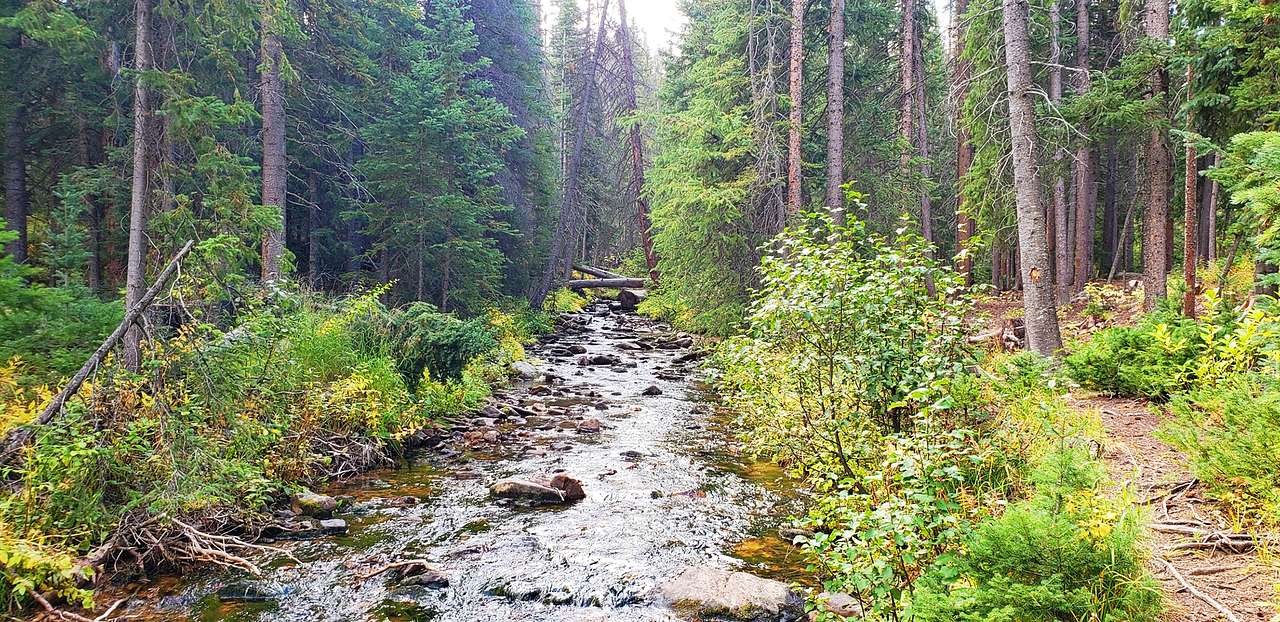 North Fork Poudre Campground