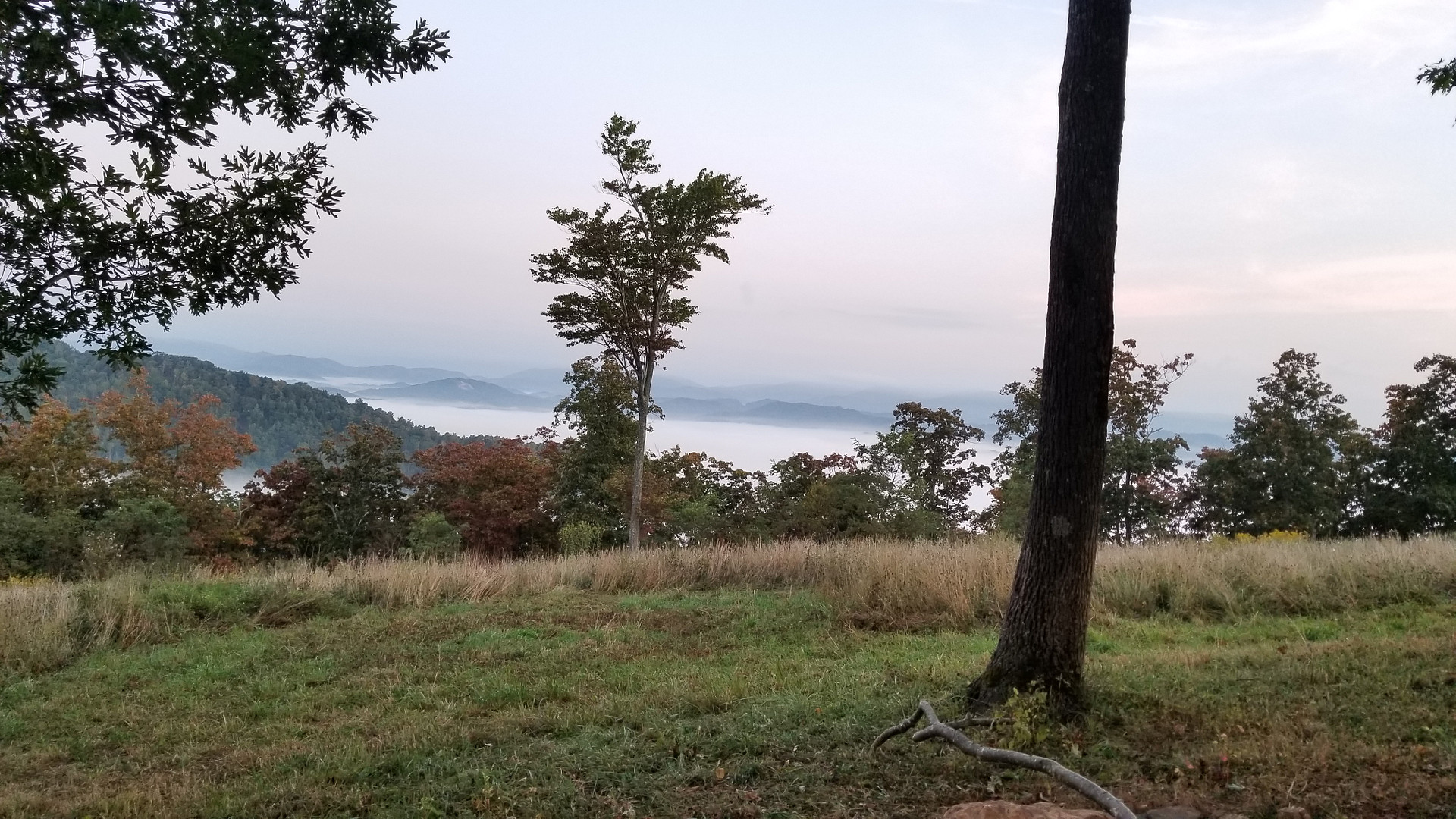 Fog in the valley below~