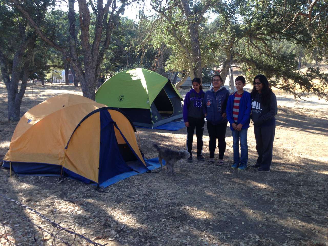 Campsite 4 - First and Second Generation from India