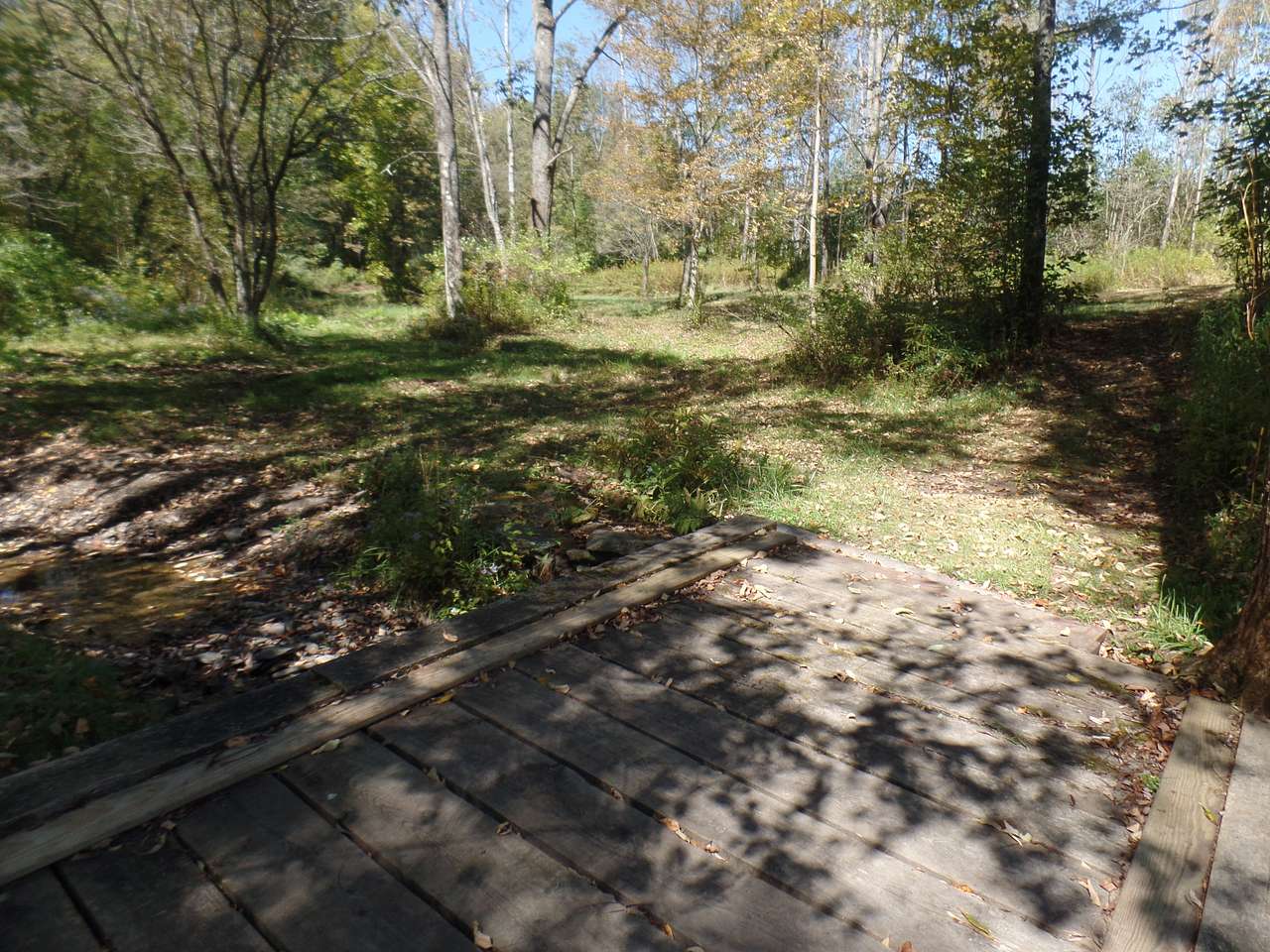 Lots of space to choose from -- set up tent anywhere.