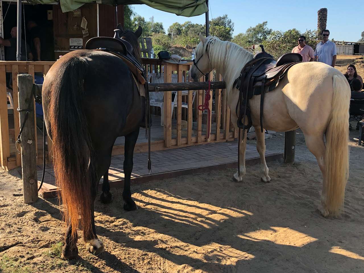D&J Stables