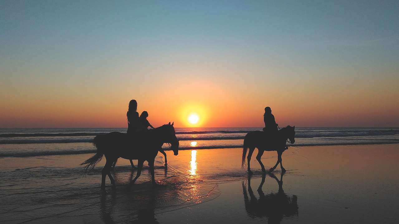 D&J Stables