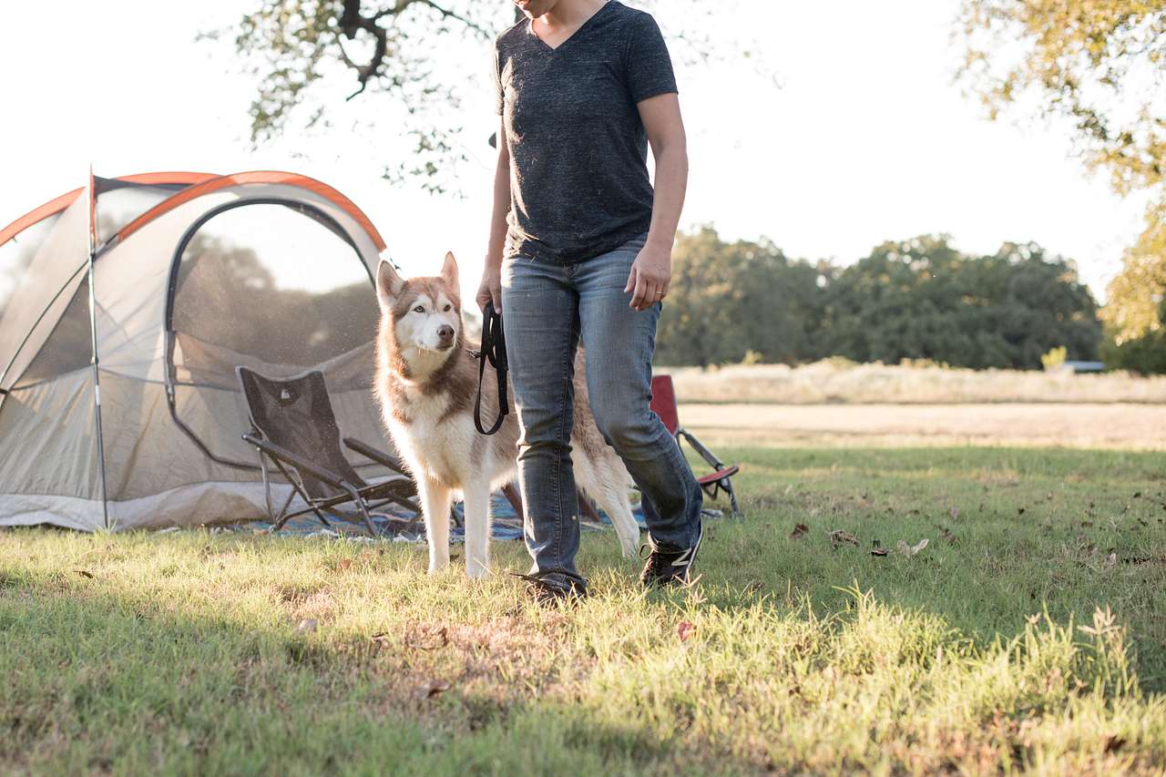 We love that the site is pet friendly!
