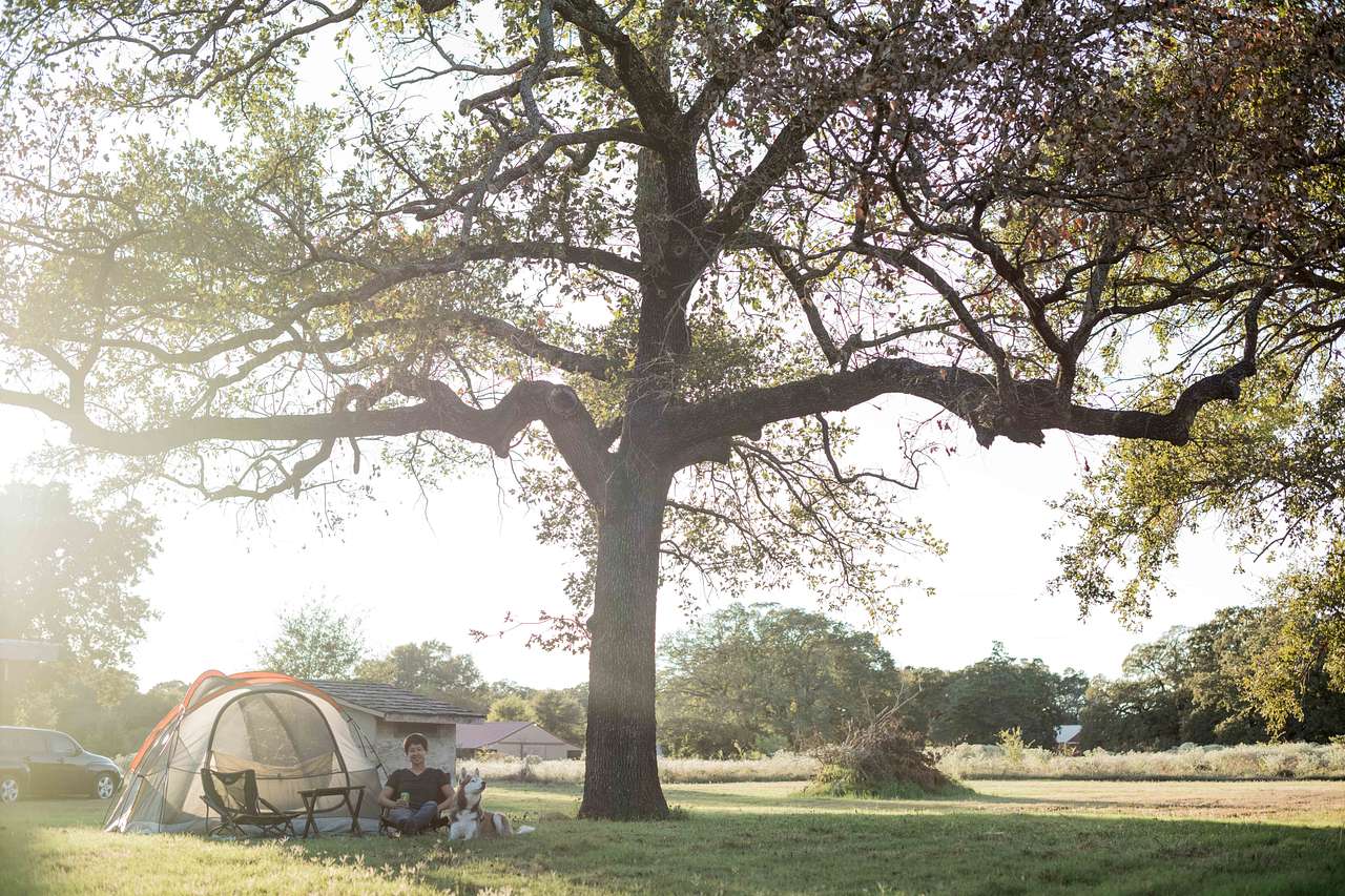 Quiet Spot on 3 Acres