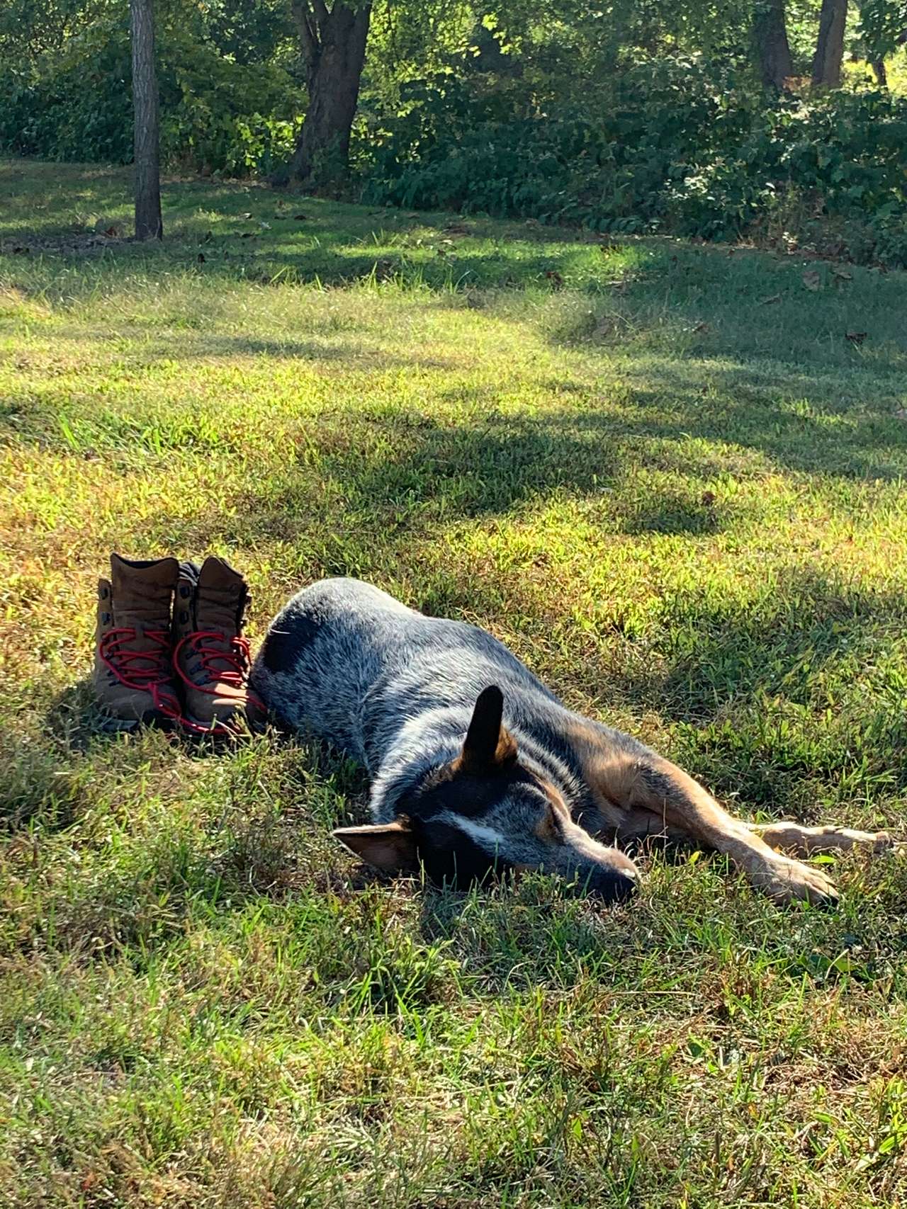 Dogs are allowed off leash as long as they’re watched. 