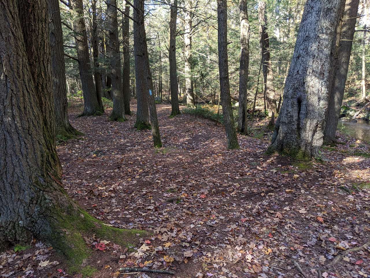 This is the path that leads towards the road/entrance.
