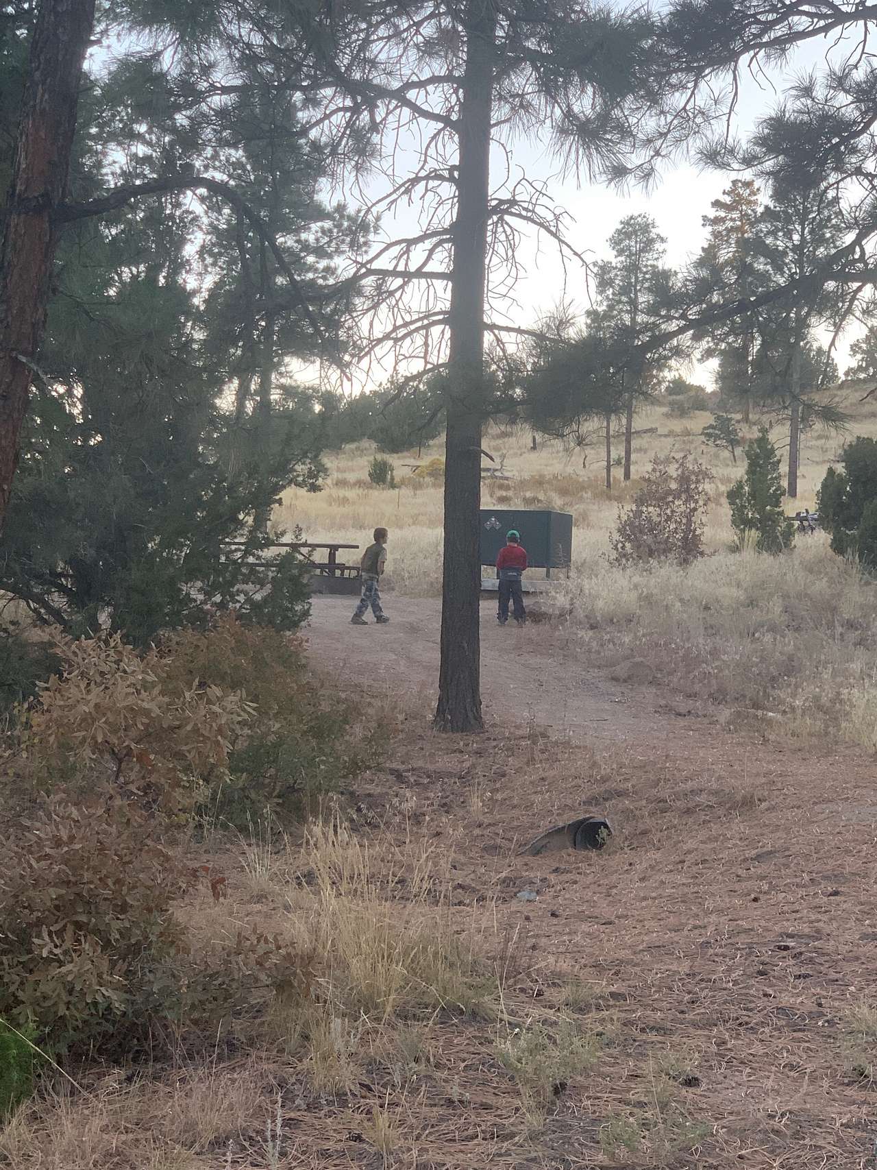 Site next to ours-- backing to the forest/open space, bear boxes provided