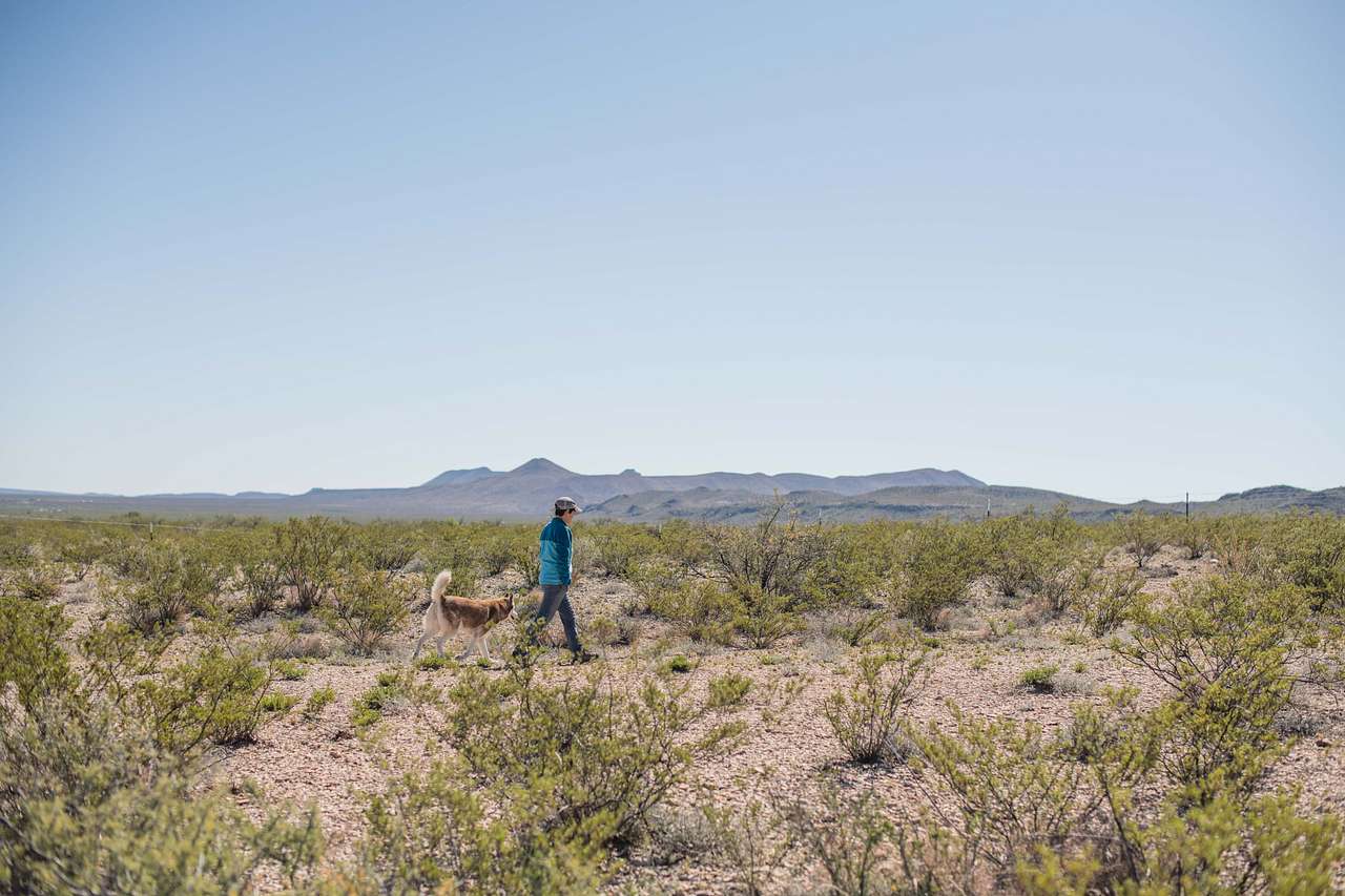 Beautiful desert in every direction to explore!