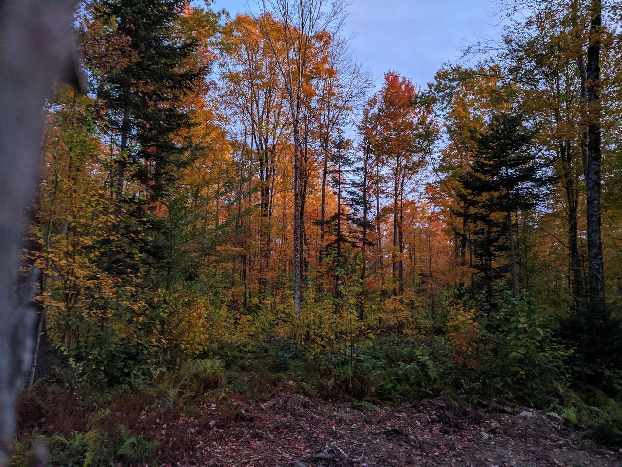 Secluded Back Country Camping