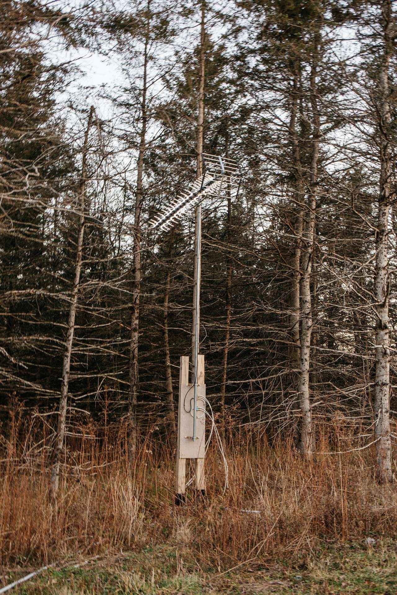 Every cabin has a connection to a satellite TV. 