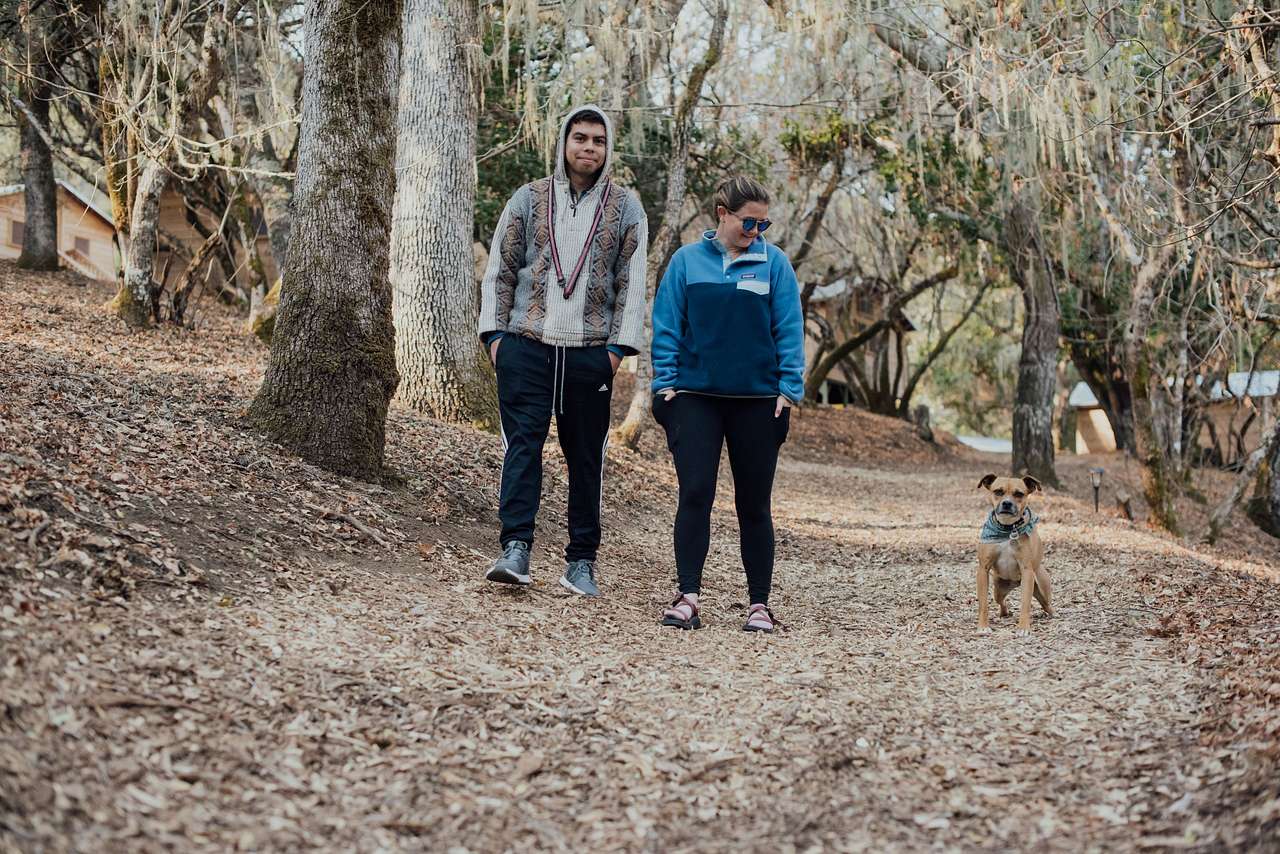 Hiking trails around camp