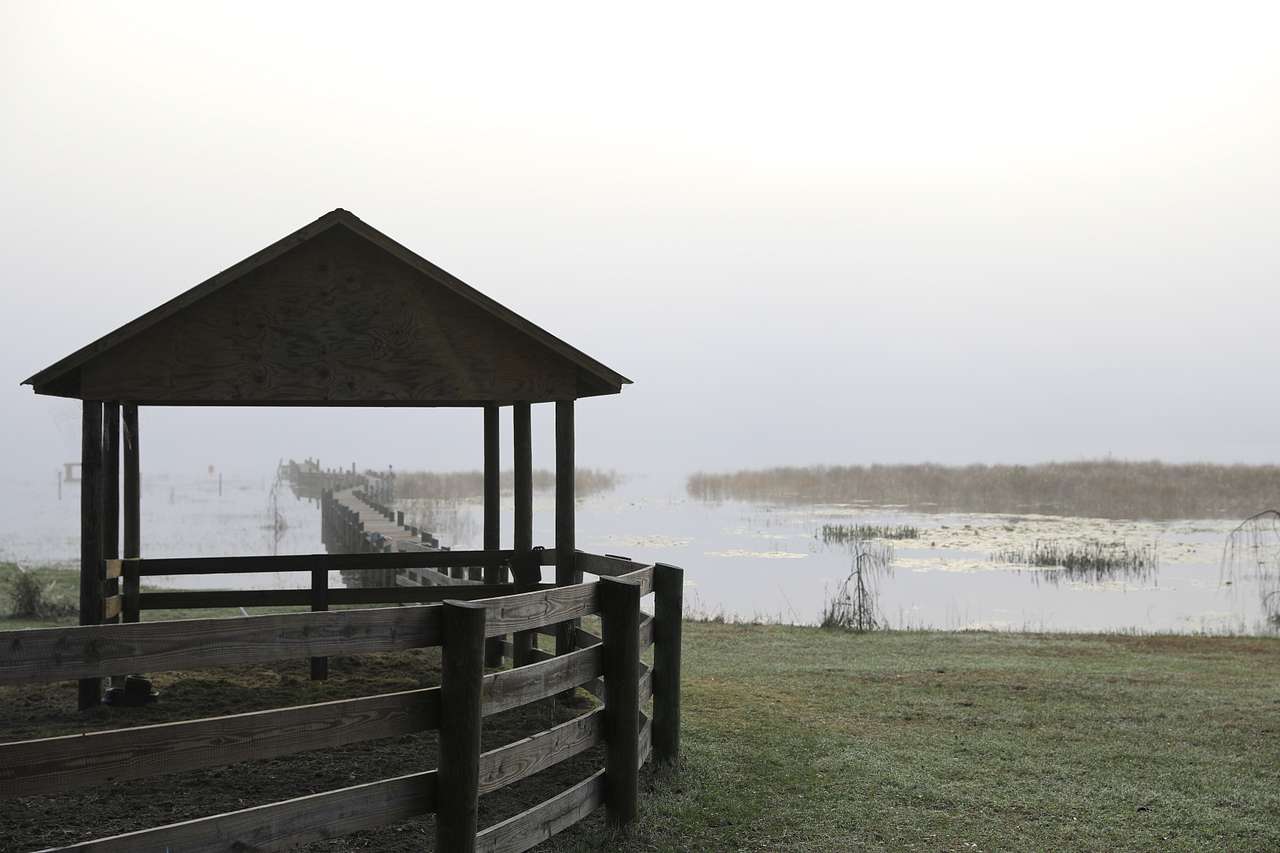 lake view