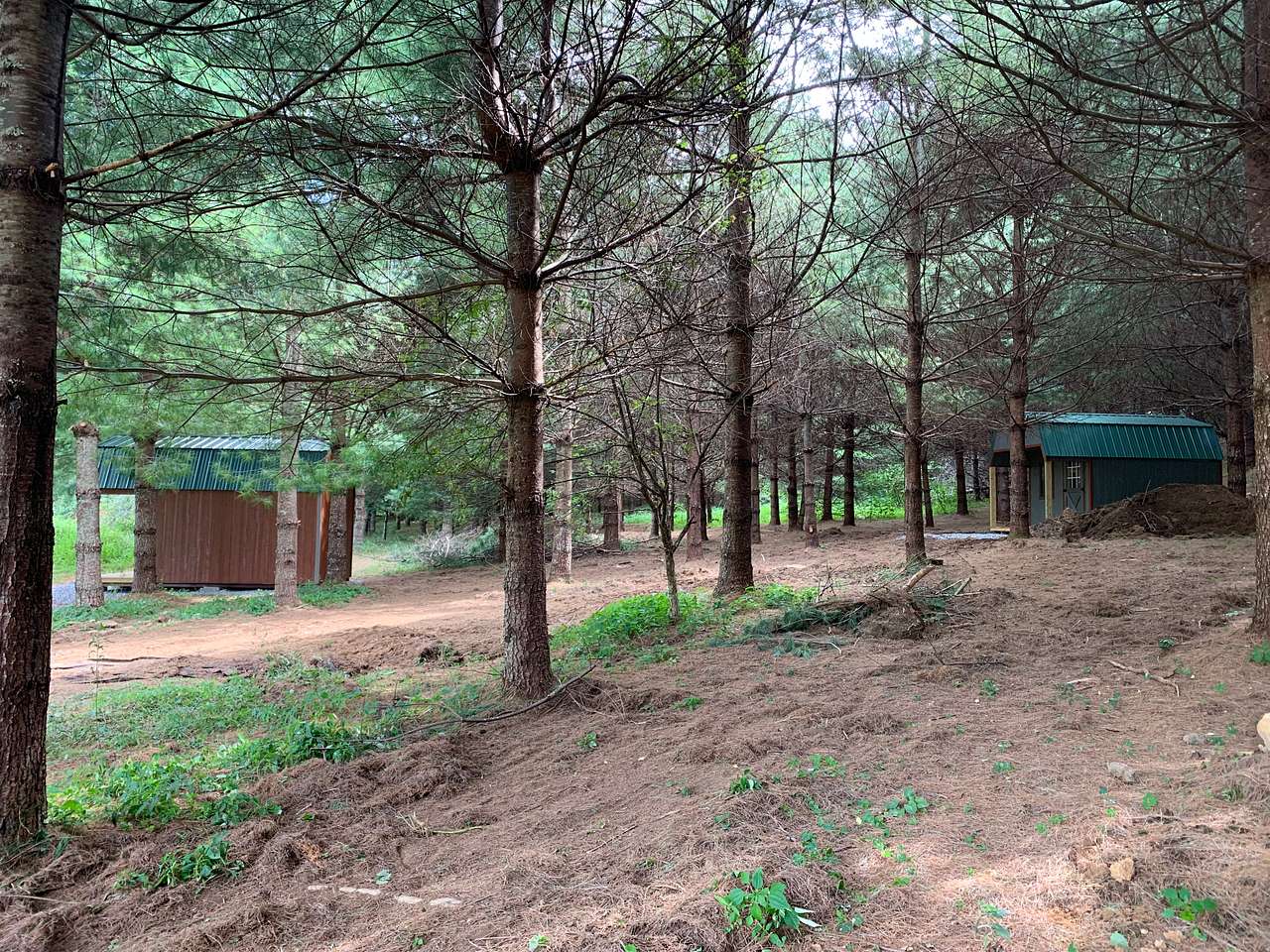 Our 2 tiny cabins