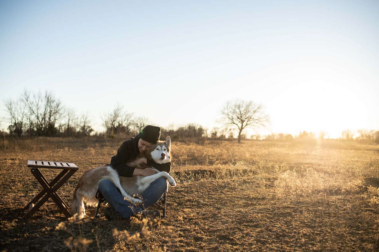 We love finding pet friendly campsites!