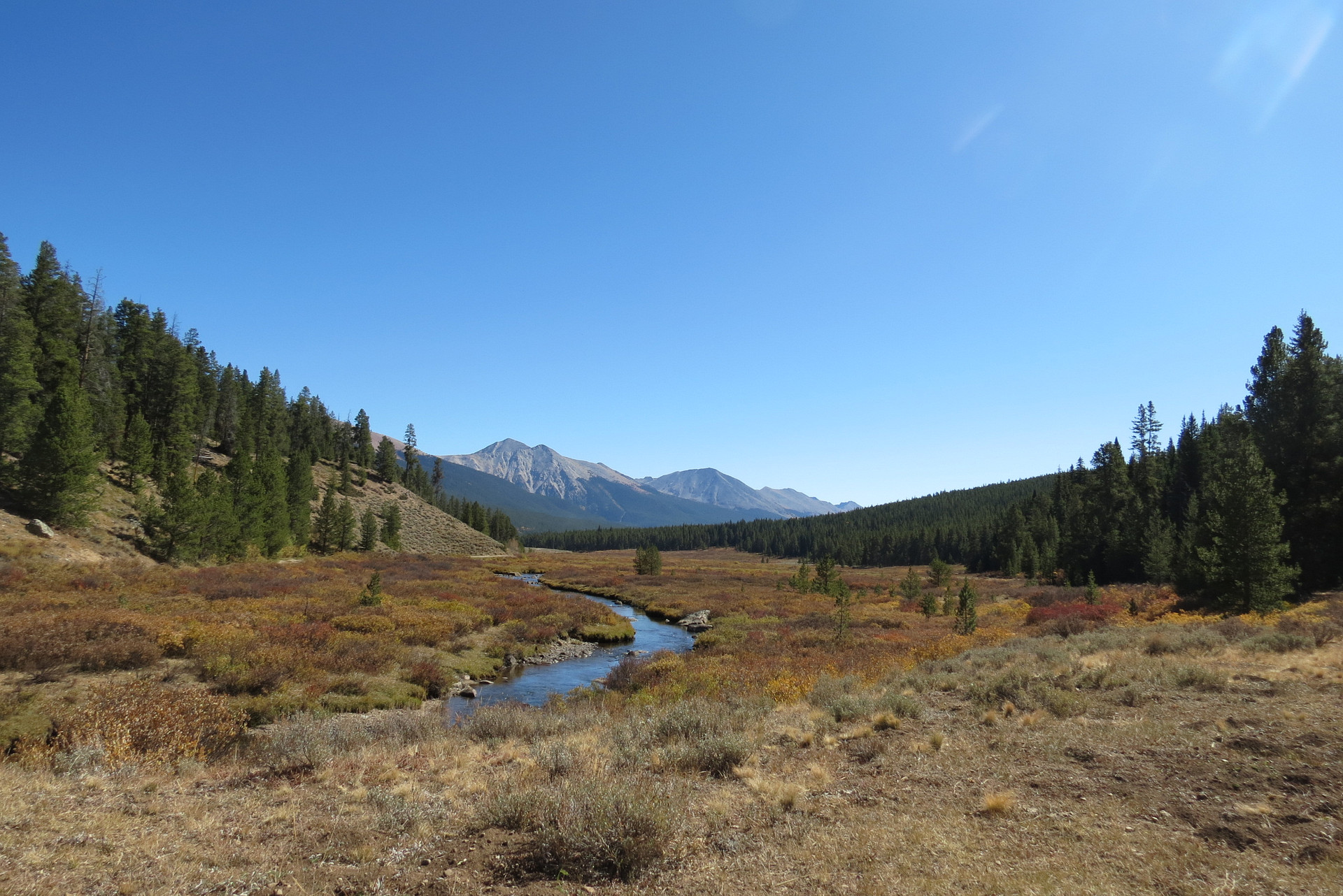 Gunnison National Forest
