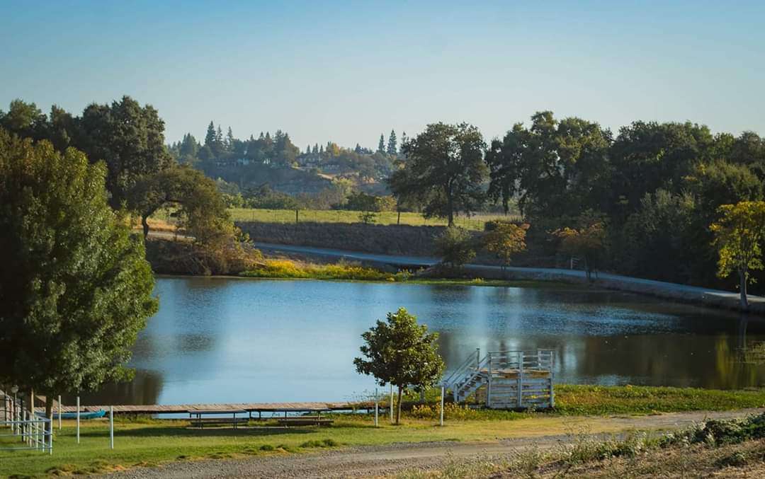 The lake in the summer