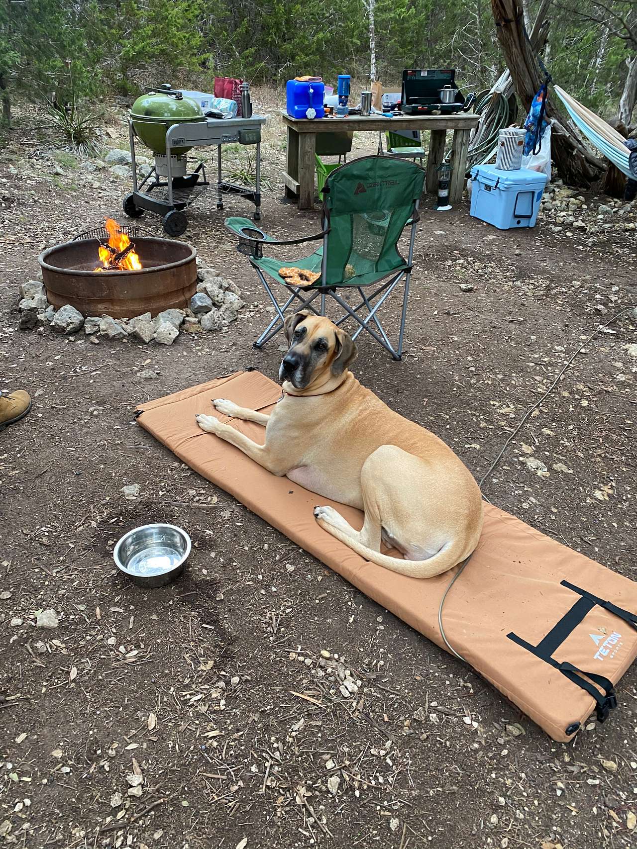 Camping Near Hamilton Pool