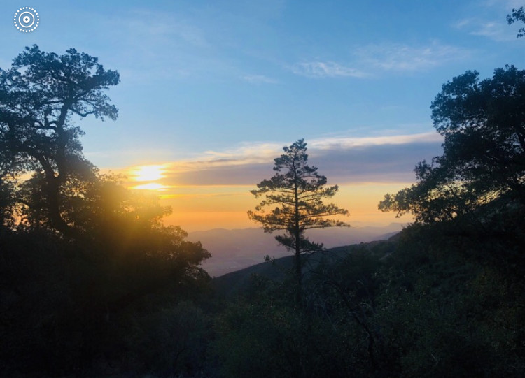 Magical Harrison Serenity Ranch