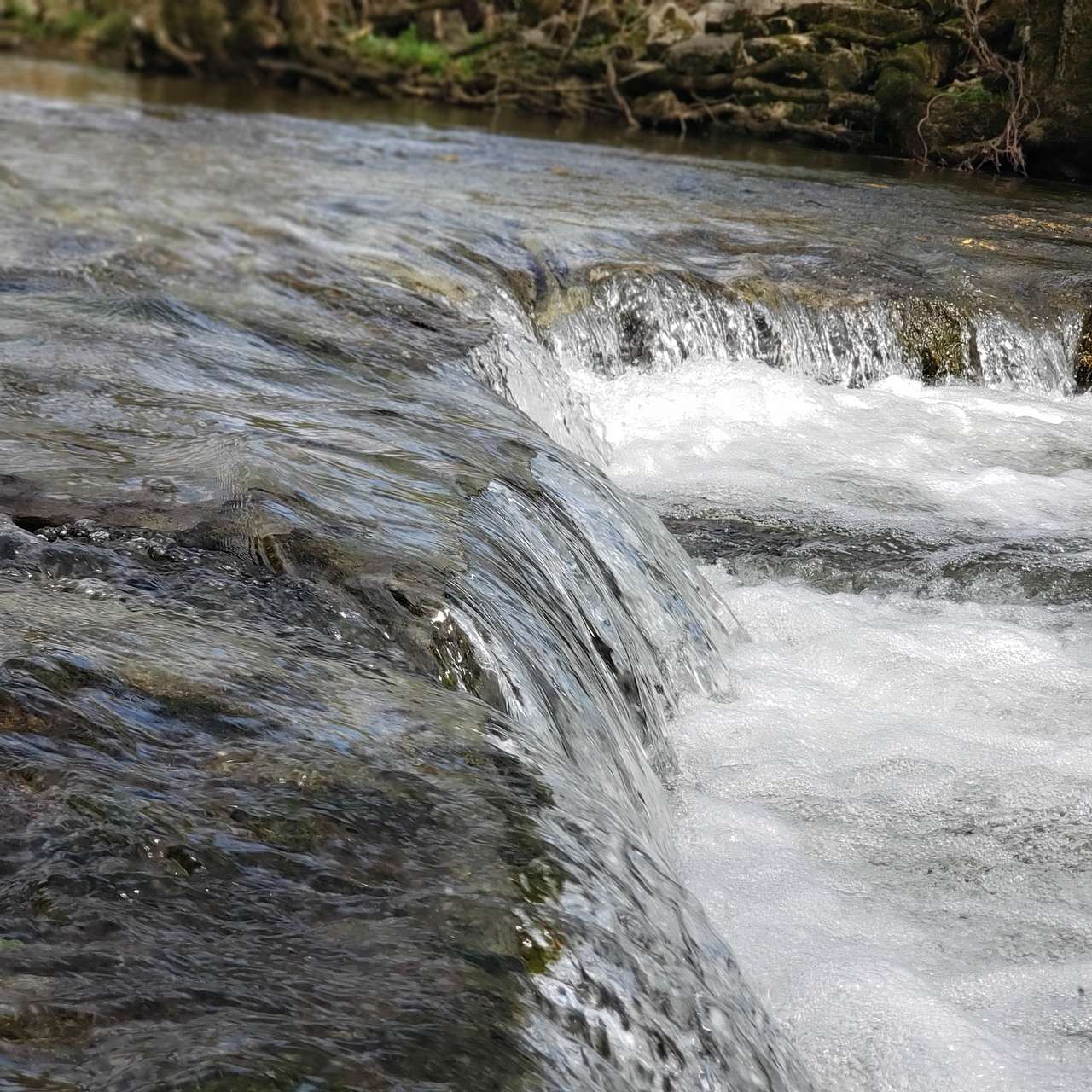 Our creek has a mini waterfall