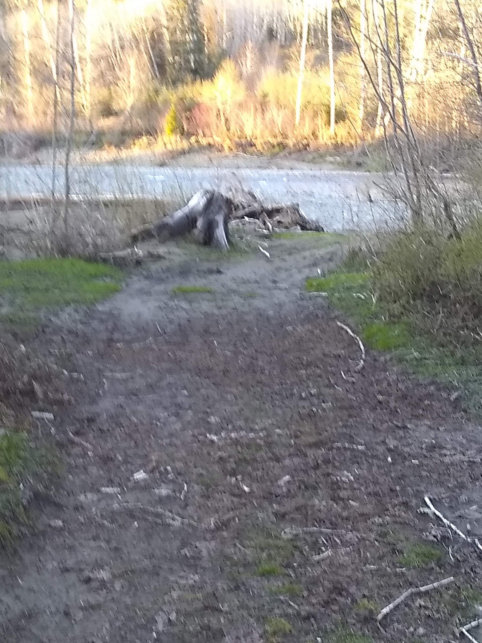 The entrance to the river from the campsite