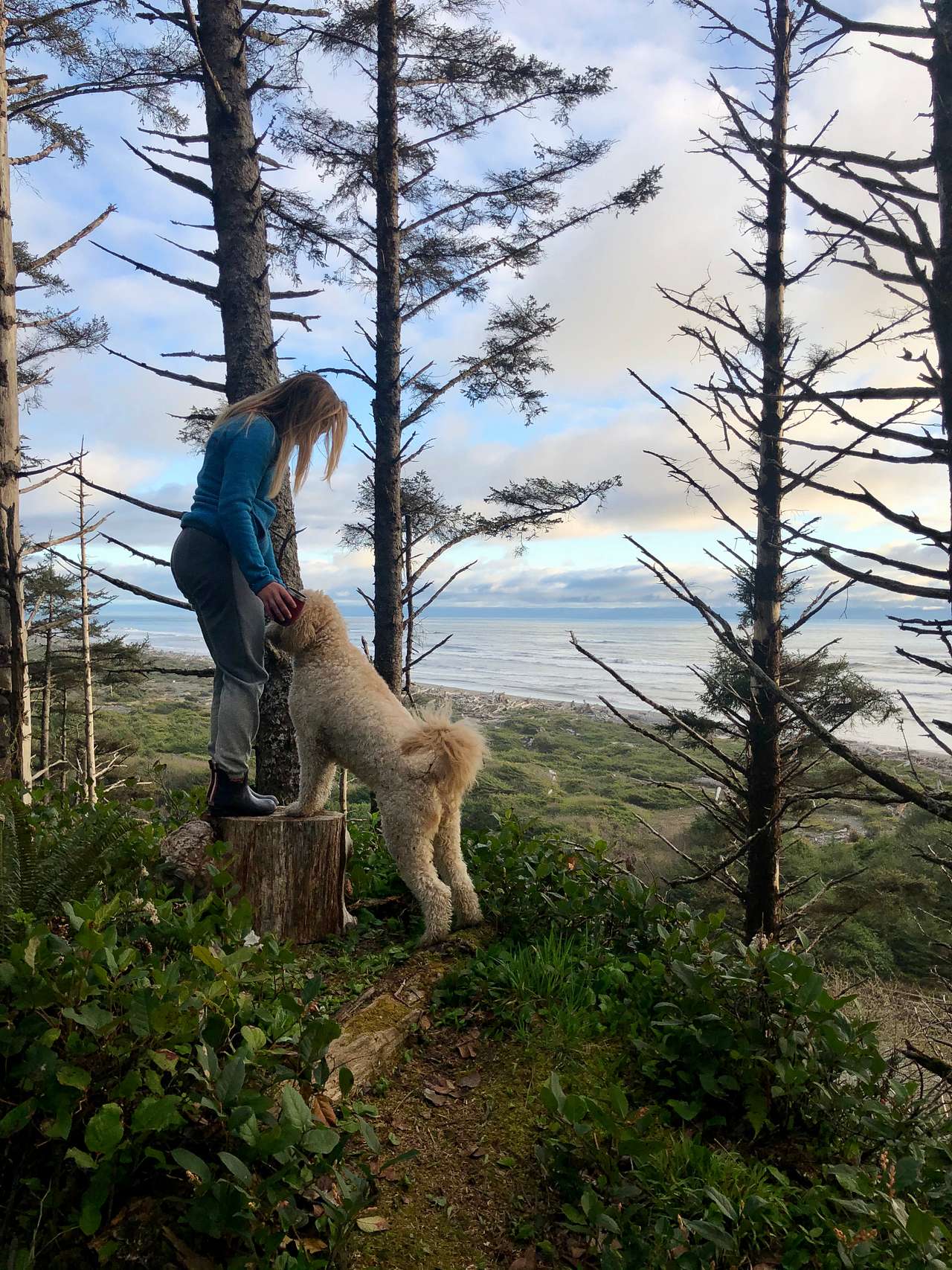 Aliya Preserve—WA Coast Eco-Retreat