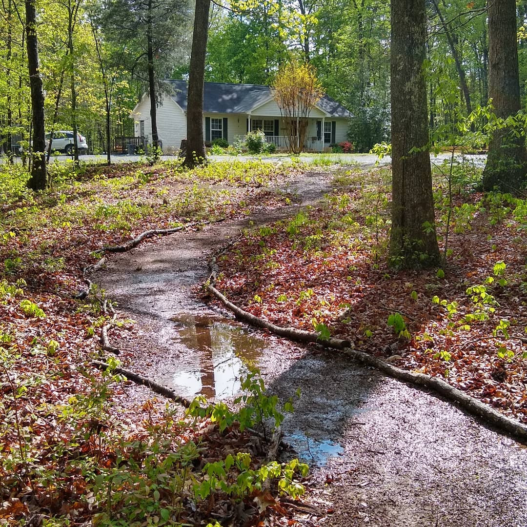 The Forest Sanctuary