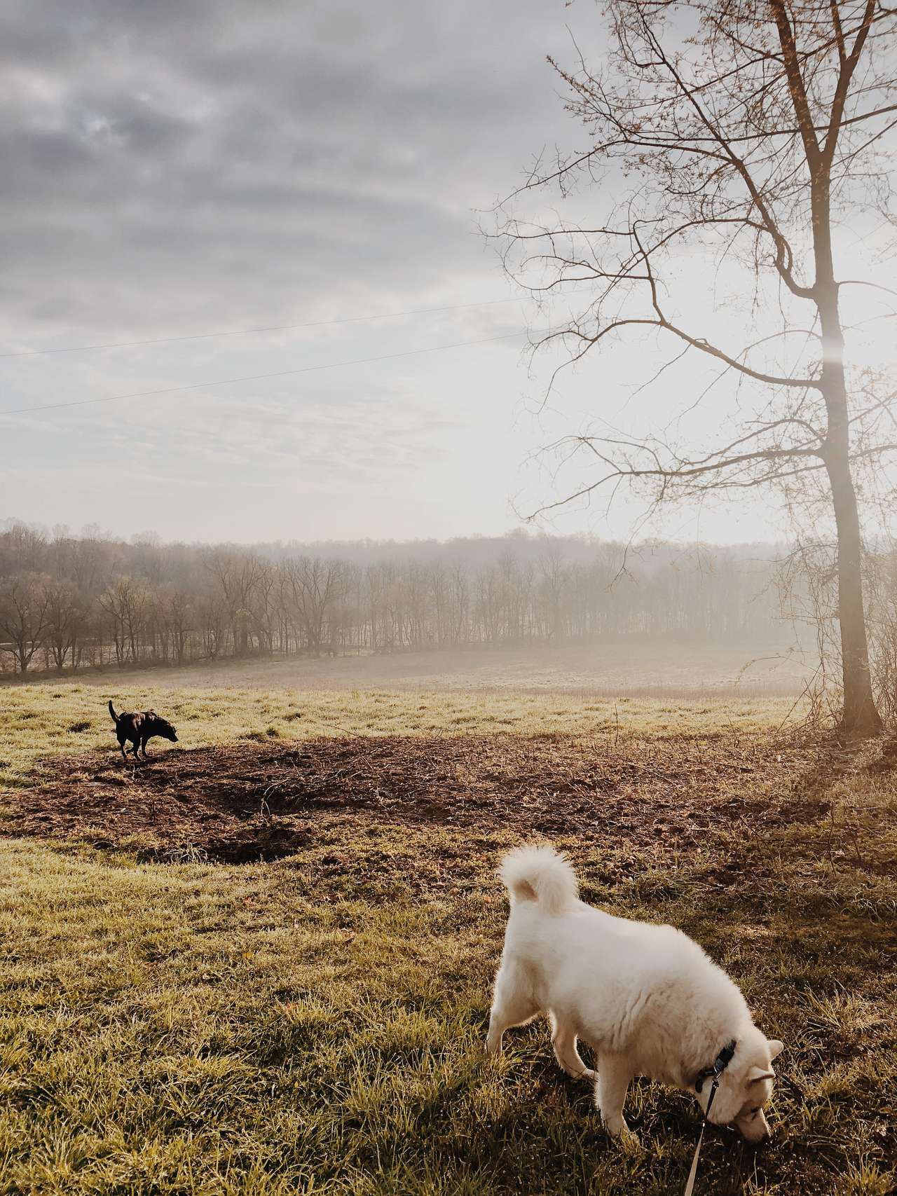 The Pleasant Valley Farm