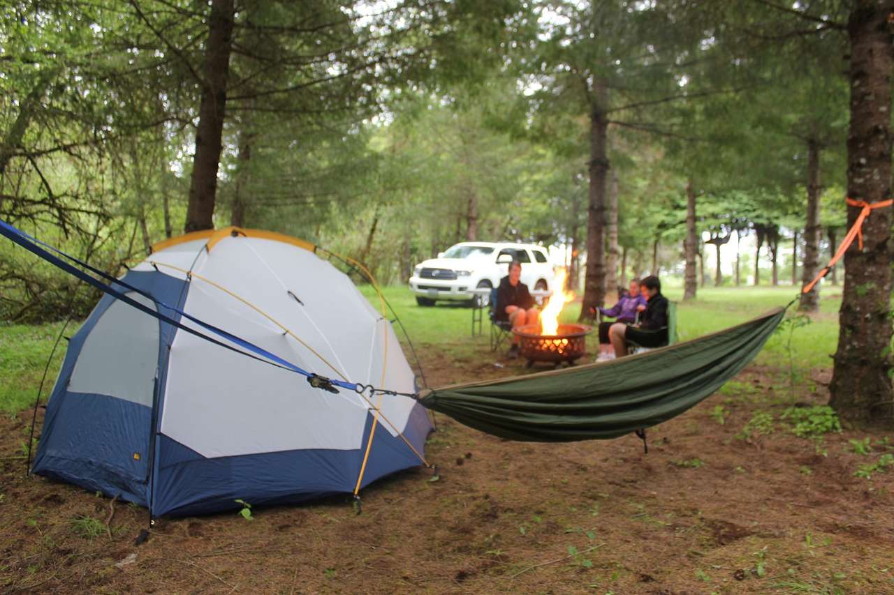 Spacious, Wooded Campsite, Hookups