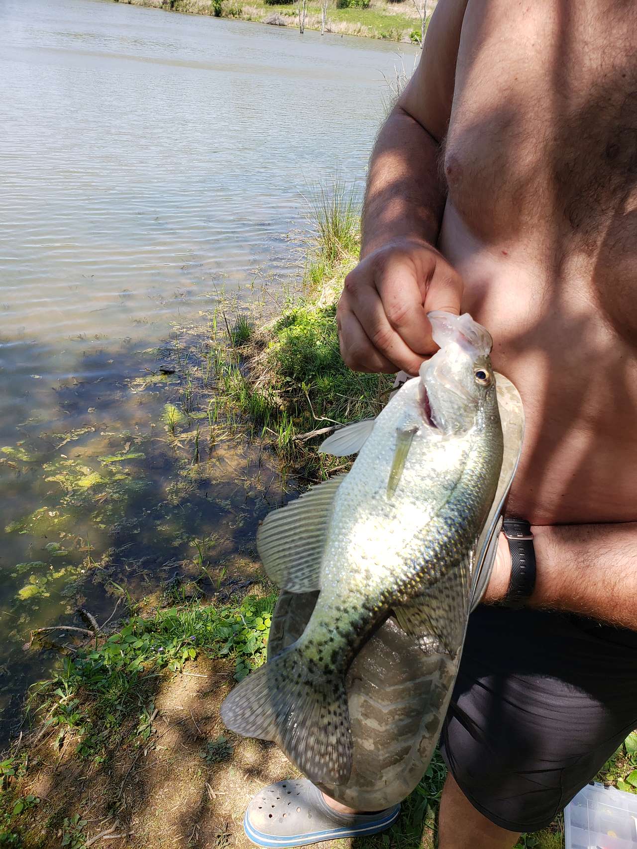 Hidden Lake Farm