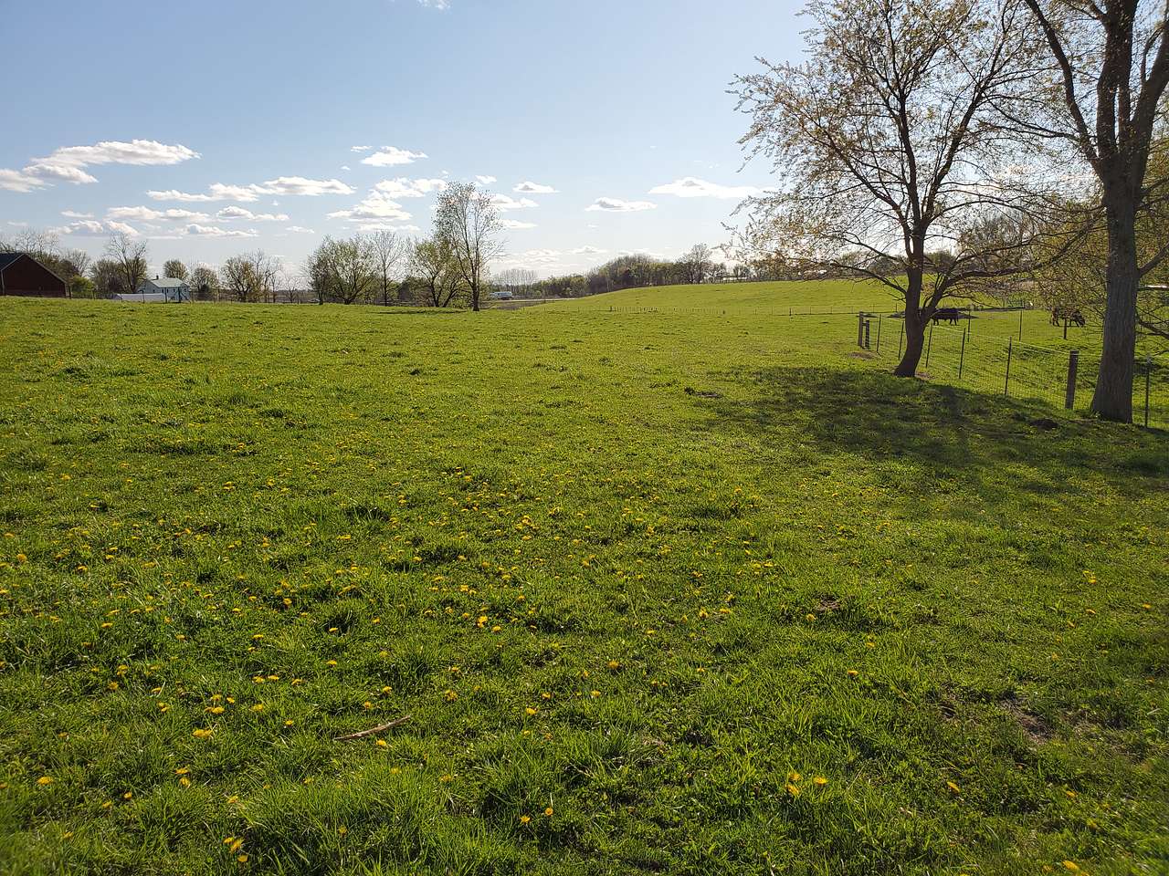 Goatland