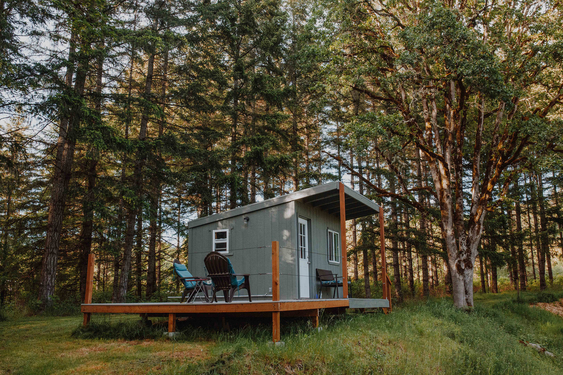 Cabin views, in the thick of it. 