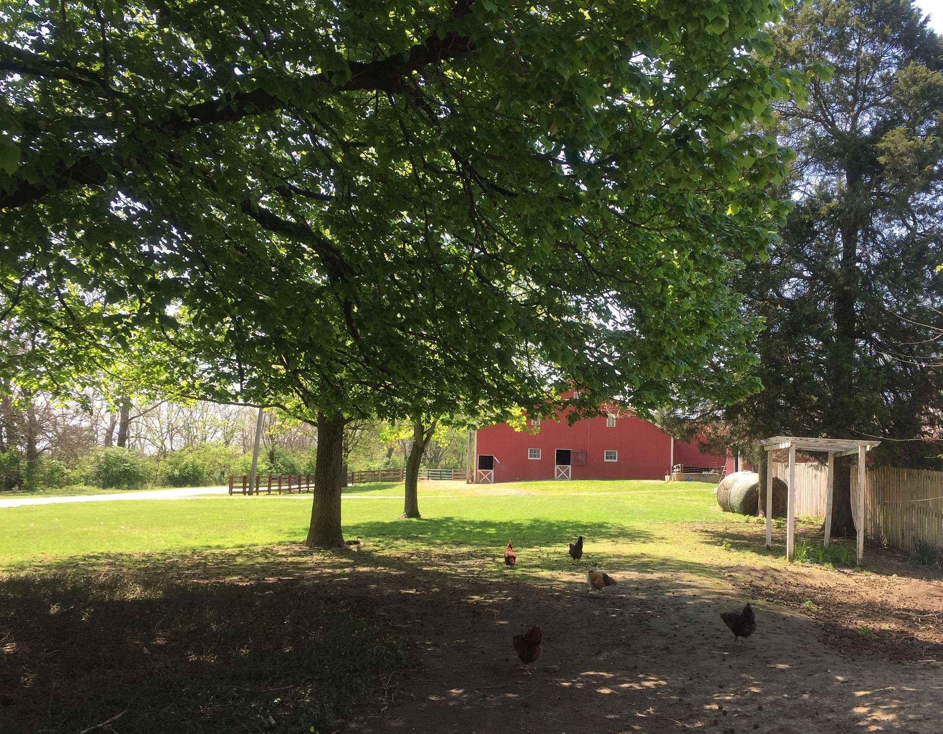 Campers have the option of setting up in front of our historic working barn.