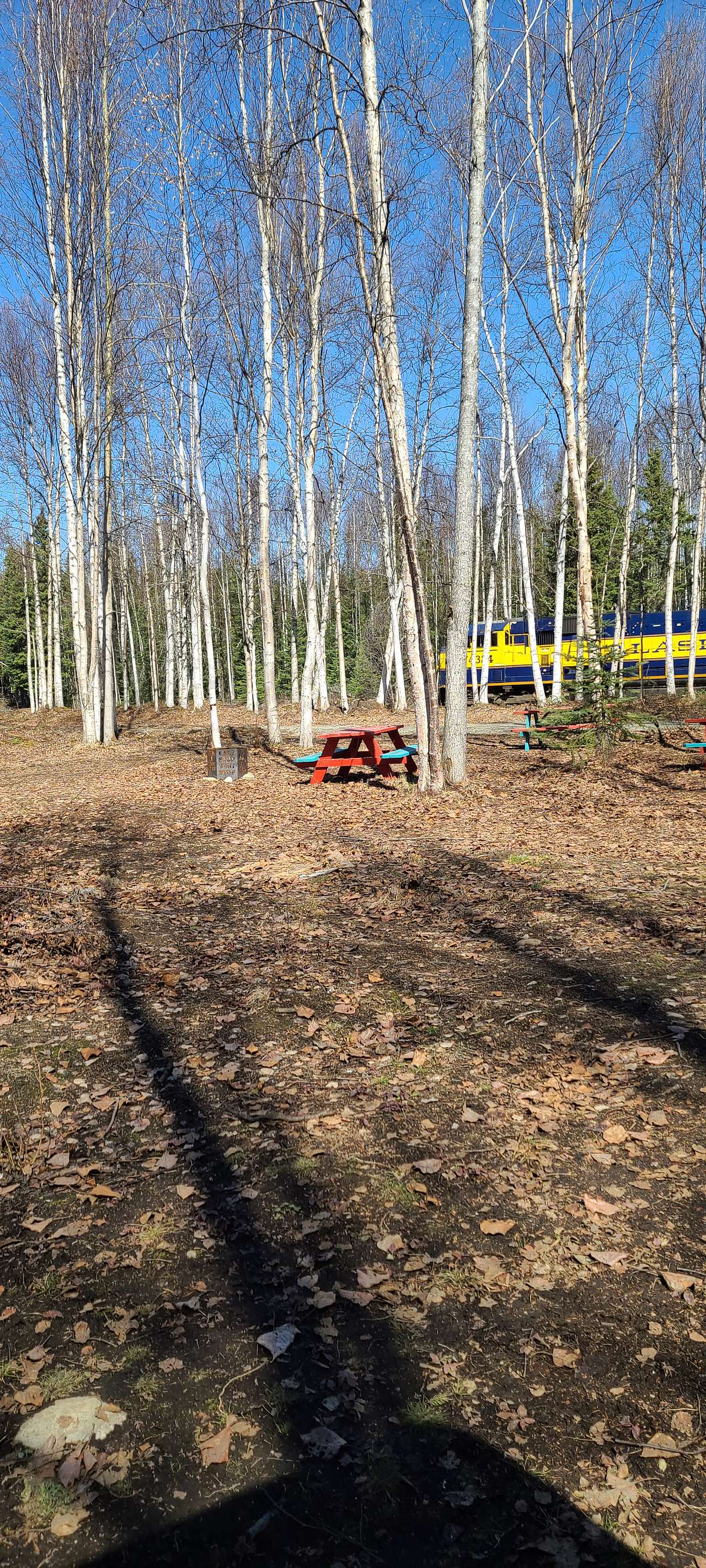 picnic tables and alaska railroad passing threw