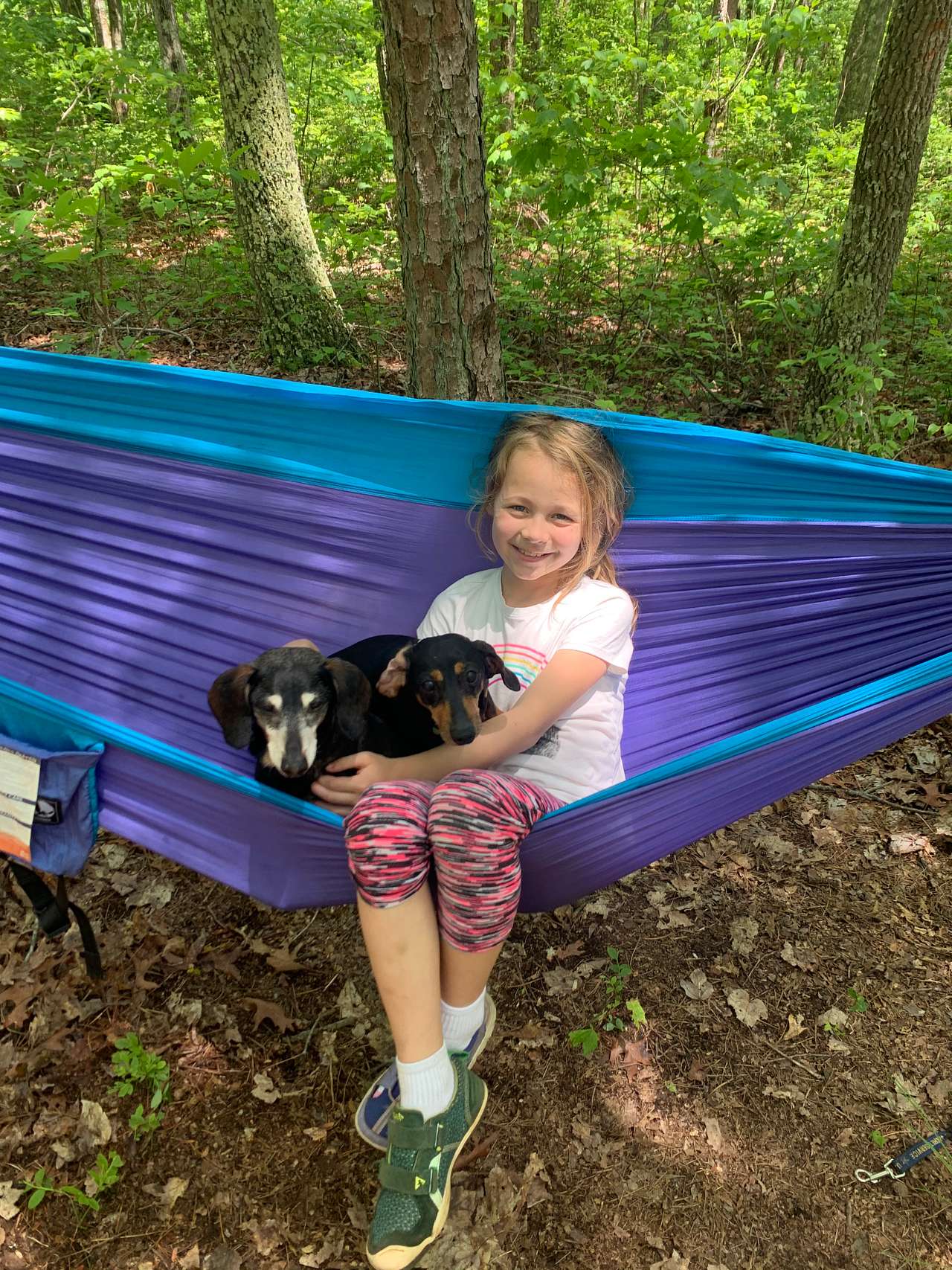 Hammock area