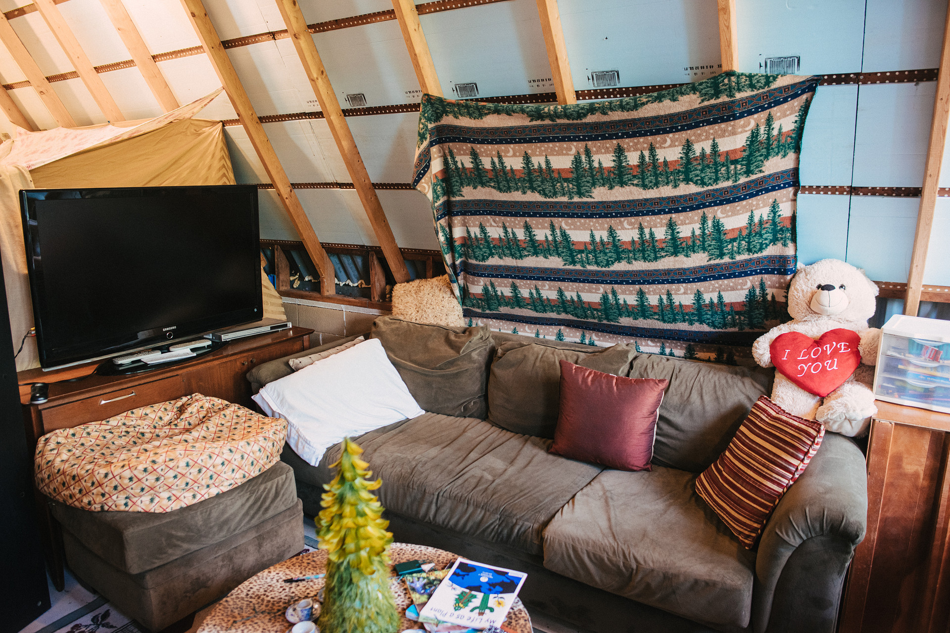 Very sleepable couches too.