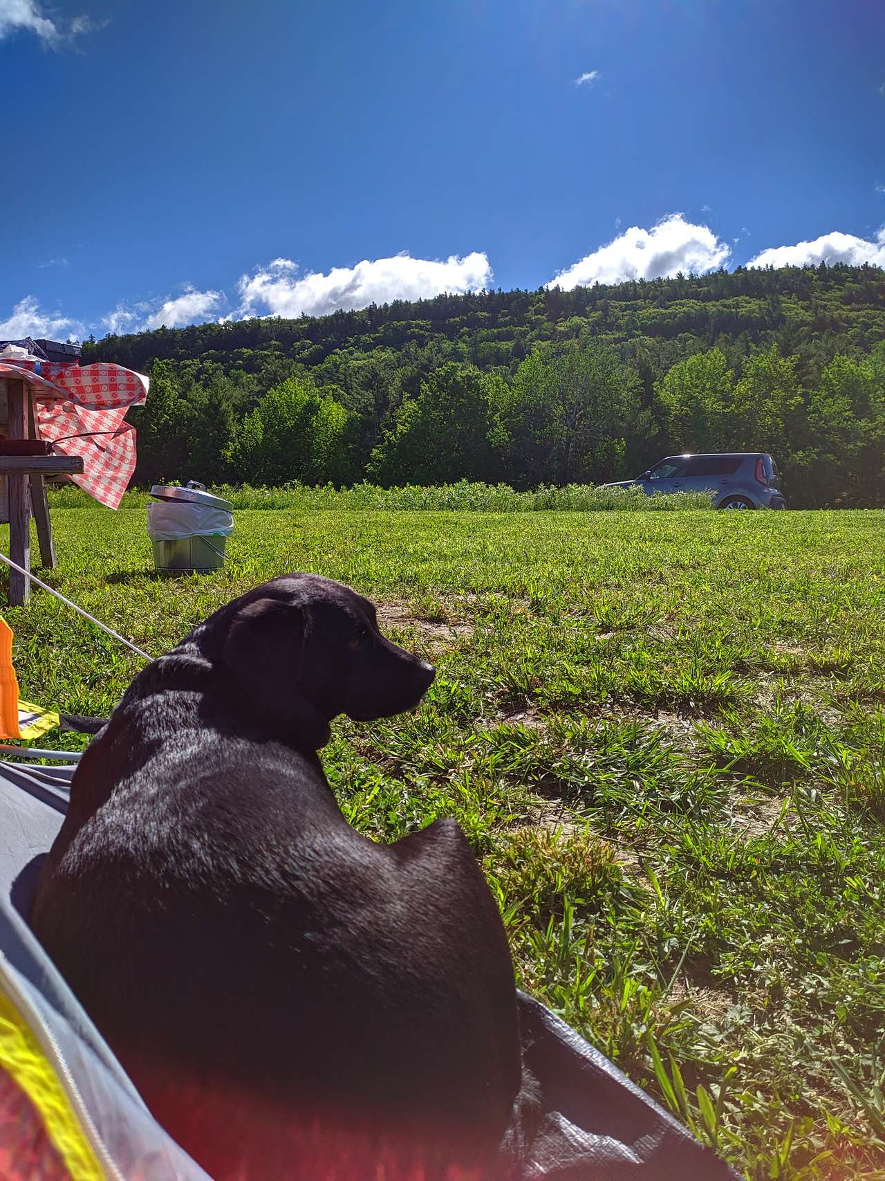 Campsite was stocked with a fire pit and 2 Adirondack chairs