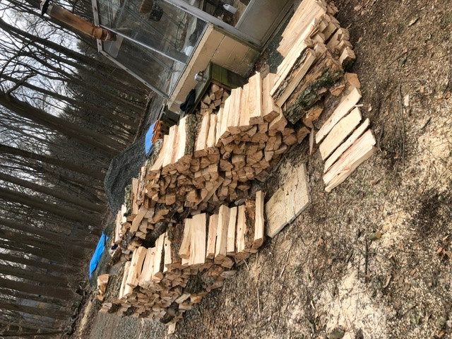 Ample firewood supply