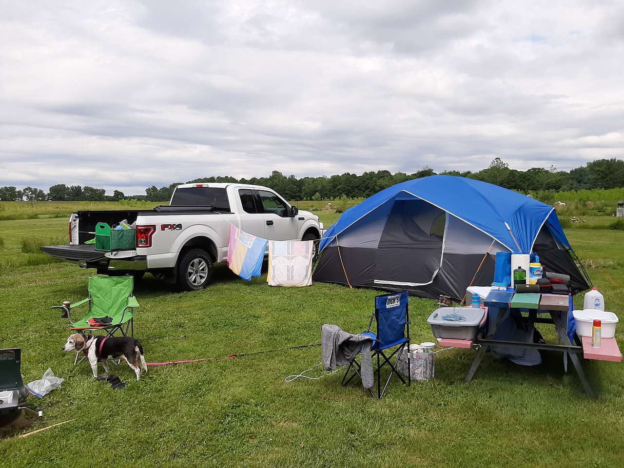 Site #5