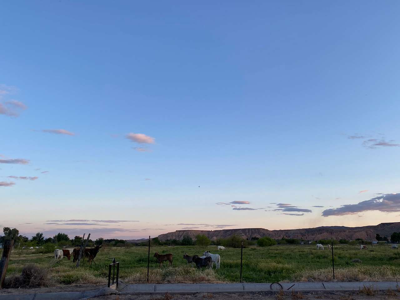 View from campsite