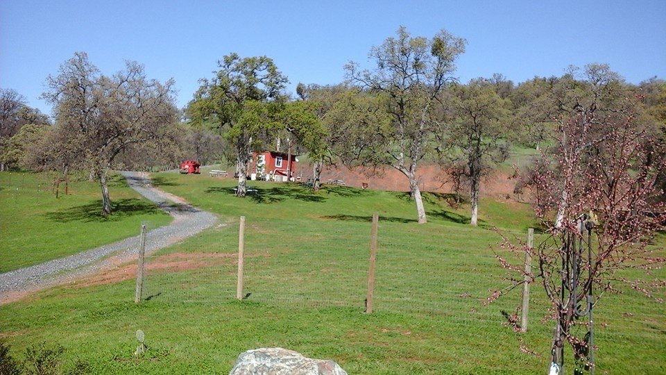 Mommapeggs Getaway in the Sierra
