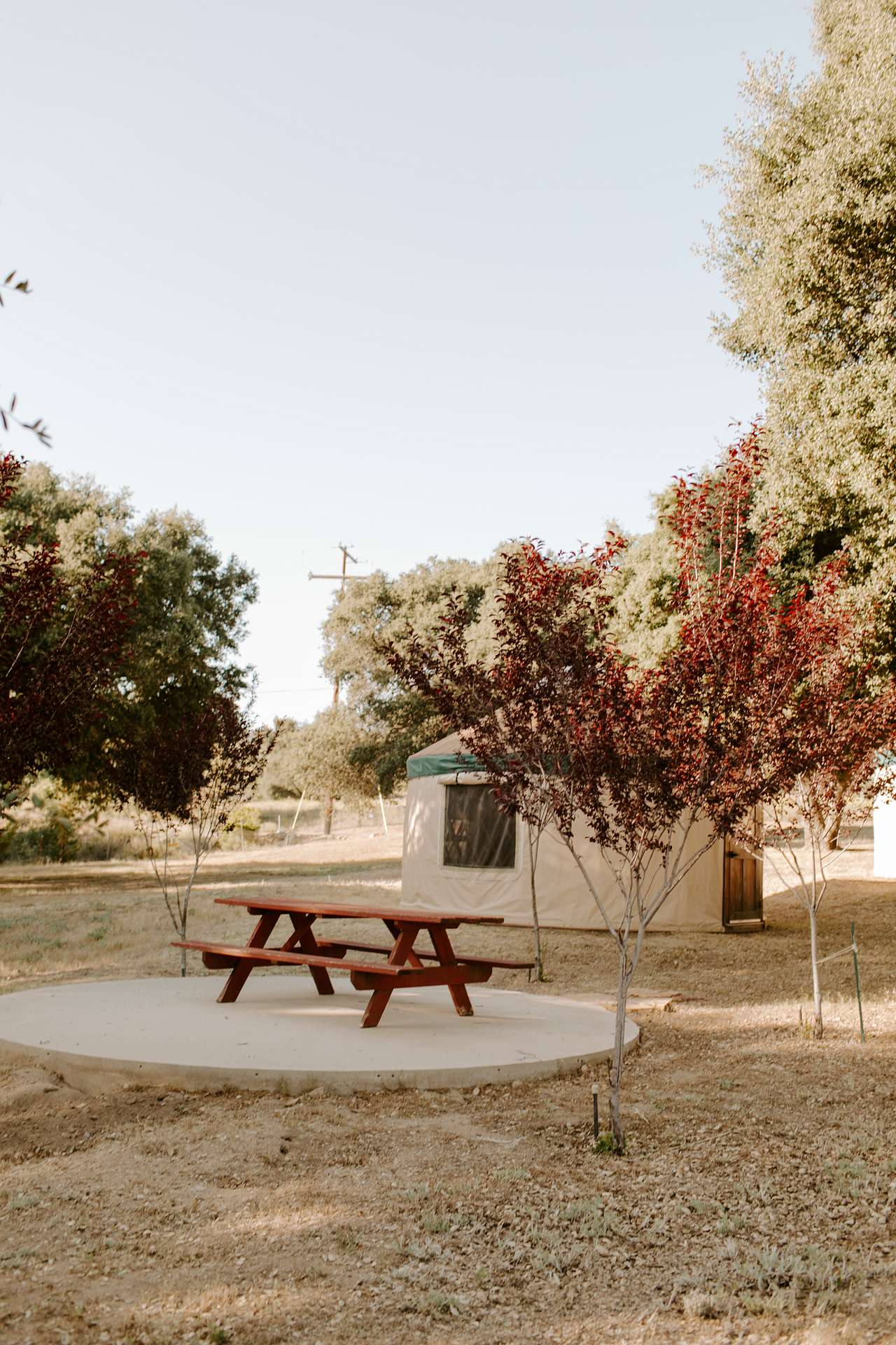 Stallion Oaks Ranch