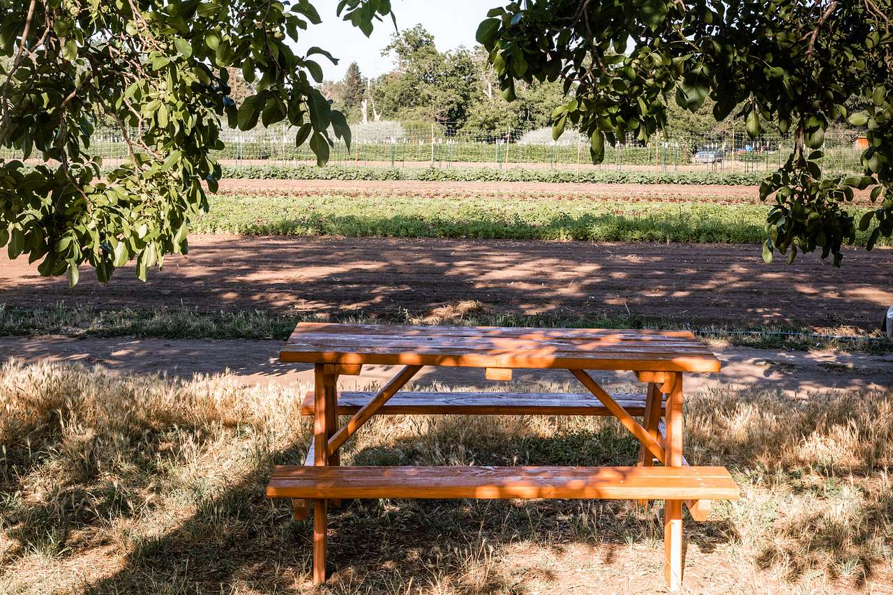 Picnic Bench view from Chandler Grove Campsite