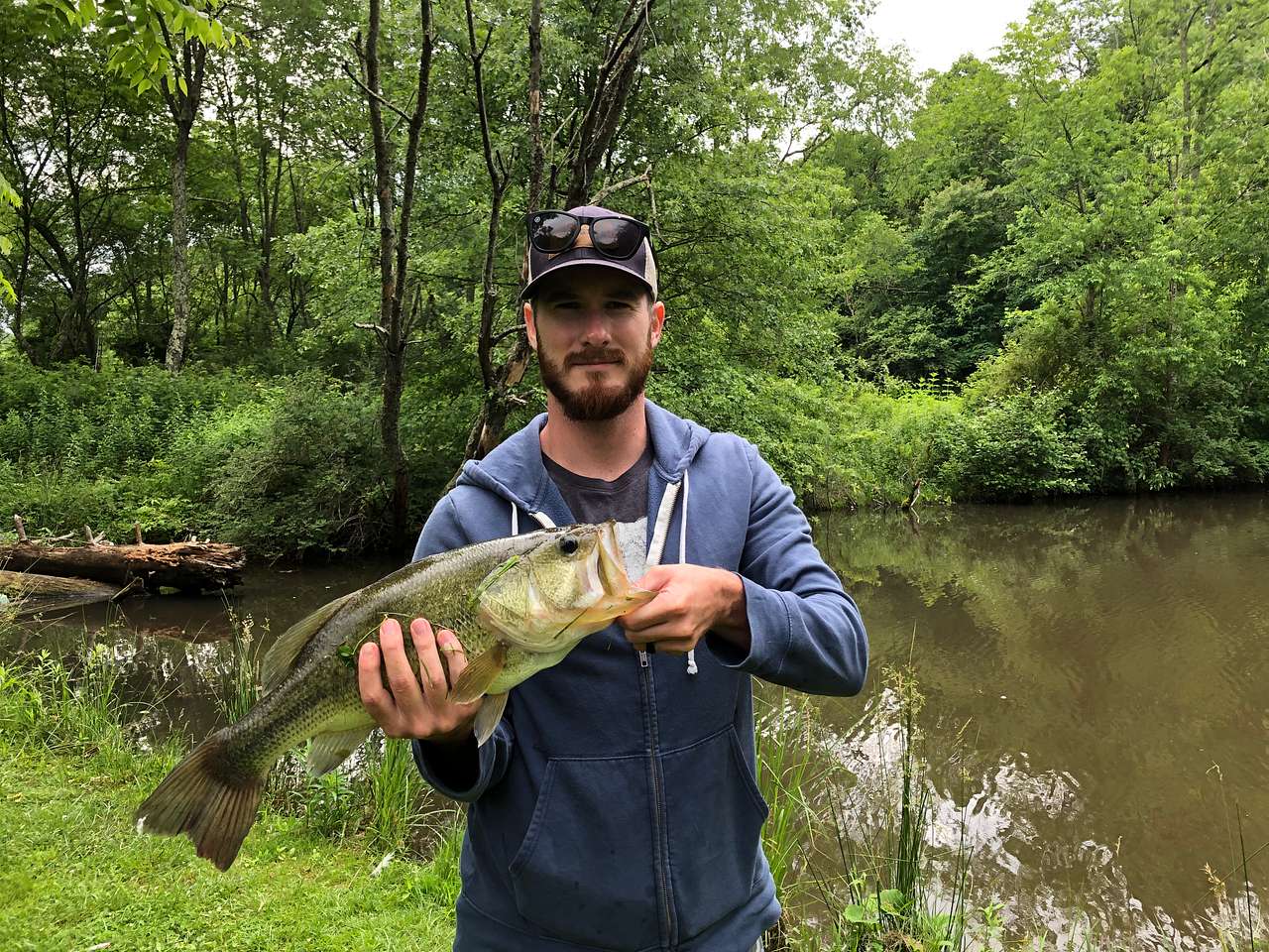 Landed this hog off a popper 