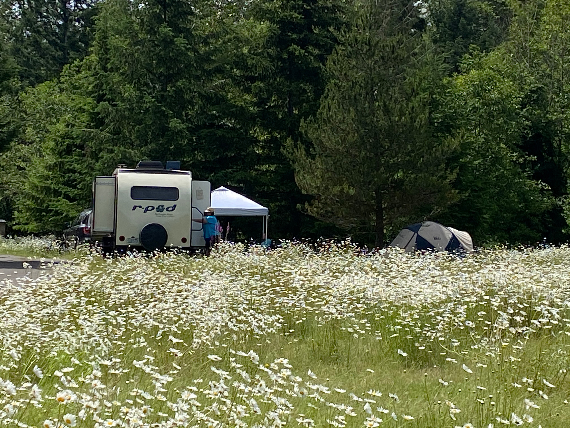 Our site from the property gate