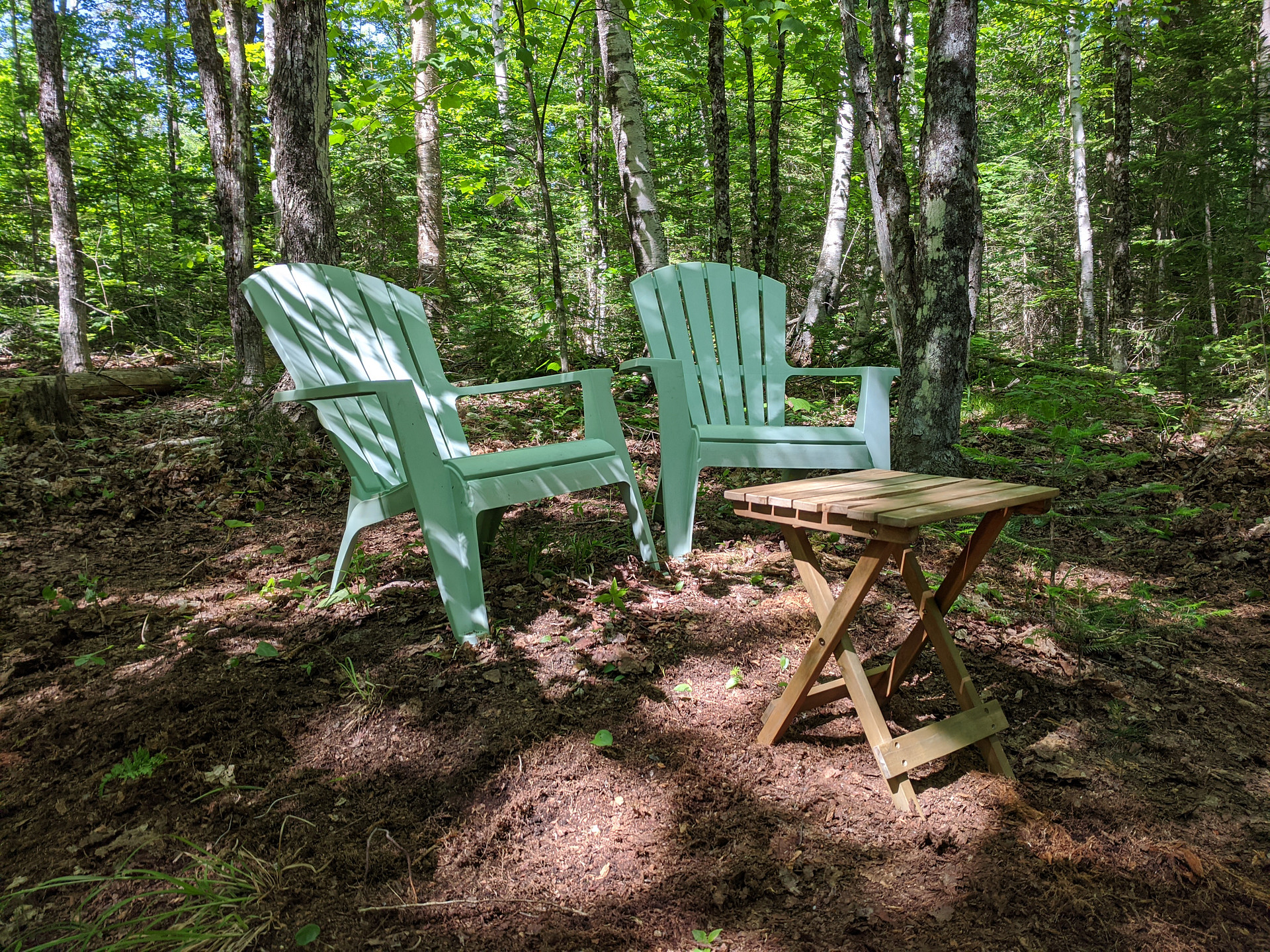 Franconia Forest - 5 Private Acres