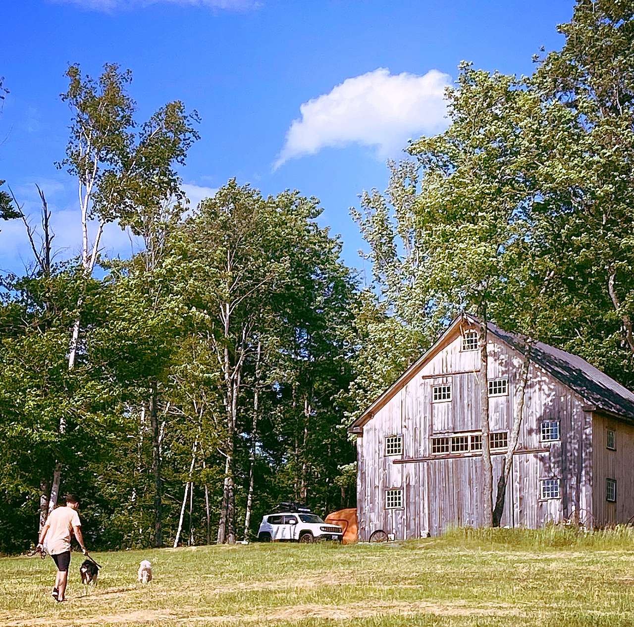 Sugar Wood Meadow Camping