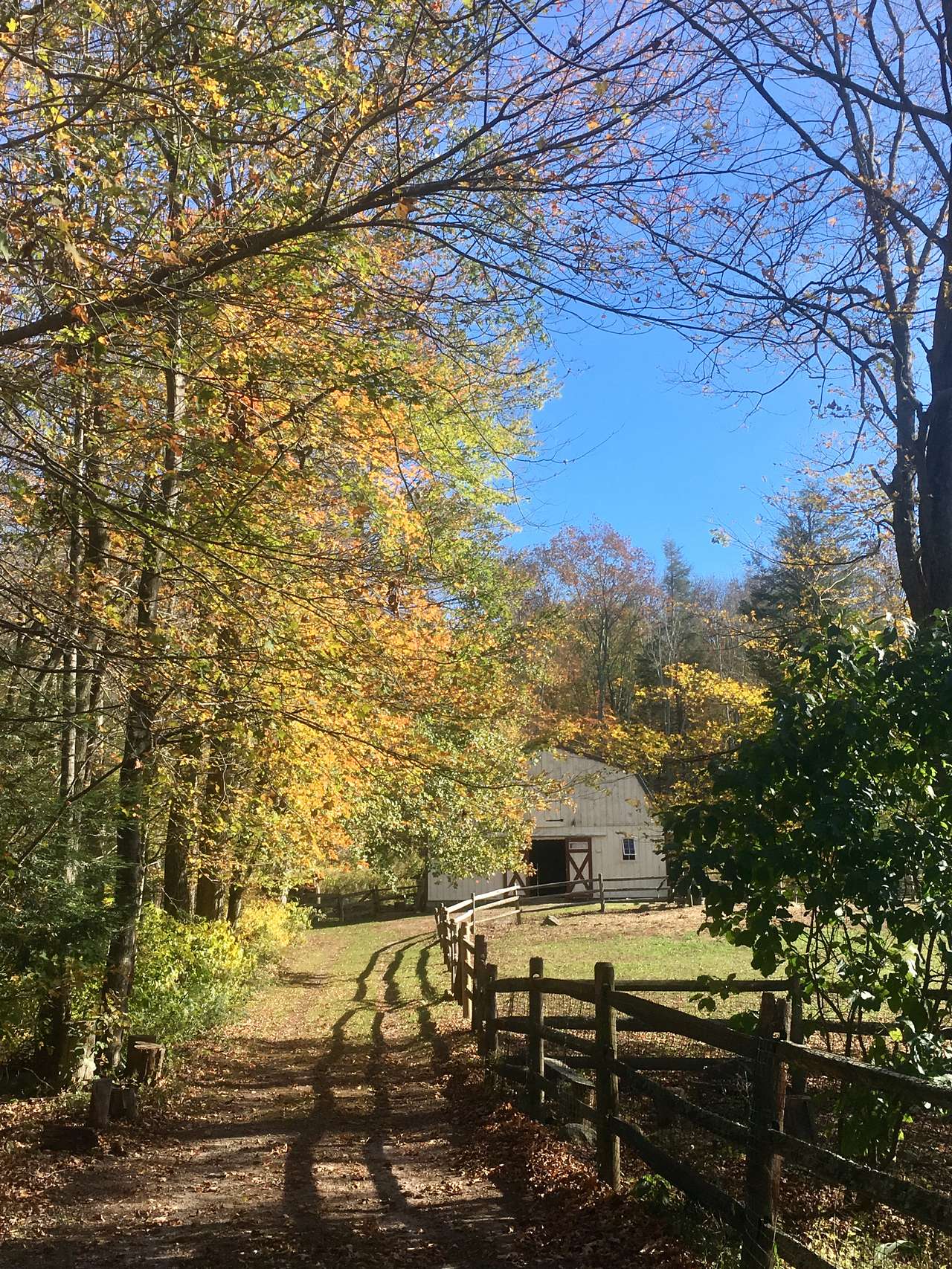 Taken in late fall..the pathway up to the barn.. total privacy