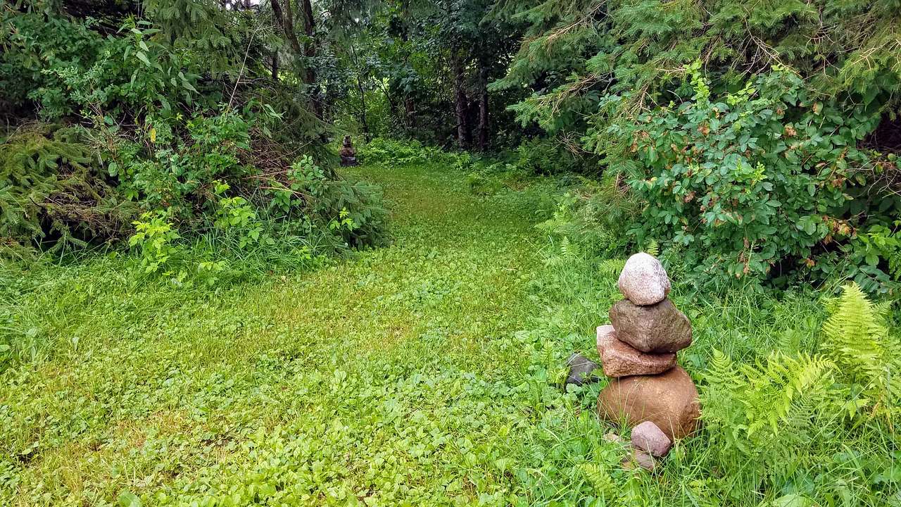 Nature trail