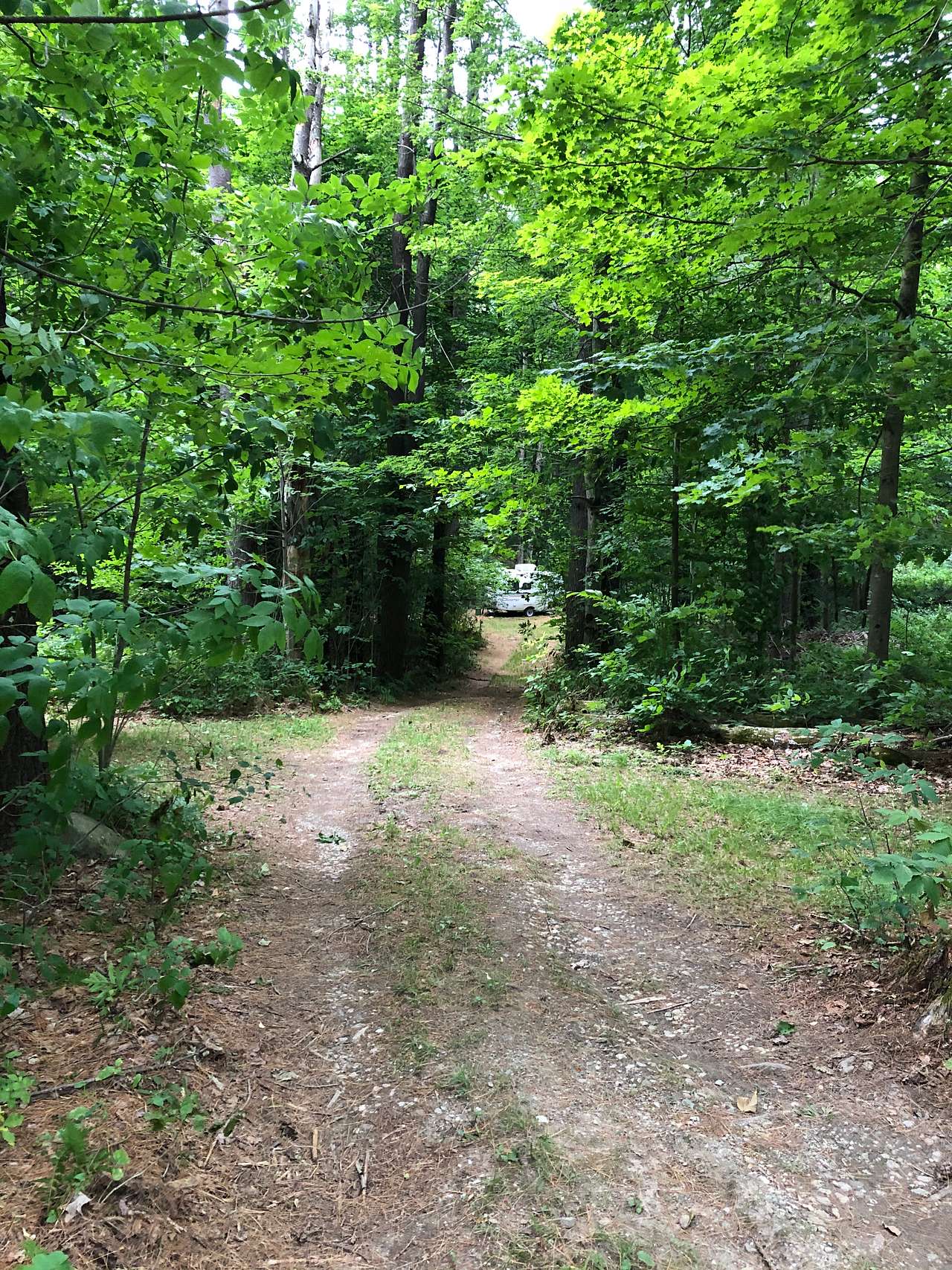 Driveway to camp site